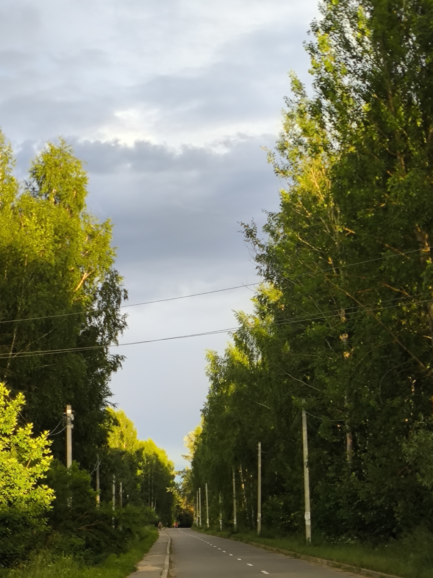 An eye-level, medium shot captures a paved road lined with trees on both sides, under a cloudy sky. The road curves to the right in the distance, with a sidewalk to the left. Several utility poles with wires are visible along the road. The trees are lush and green, with some sunlight illuminating their leaves. Two small figures are walking on the sidewalk in the distance. The scene appears to be in a park or a suburban area.