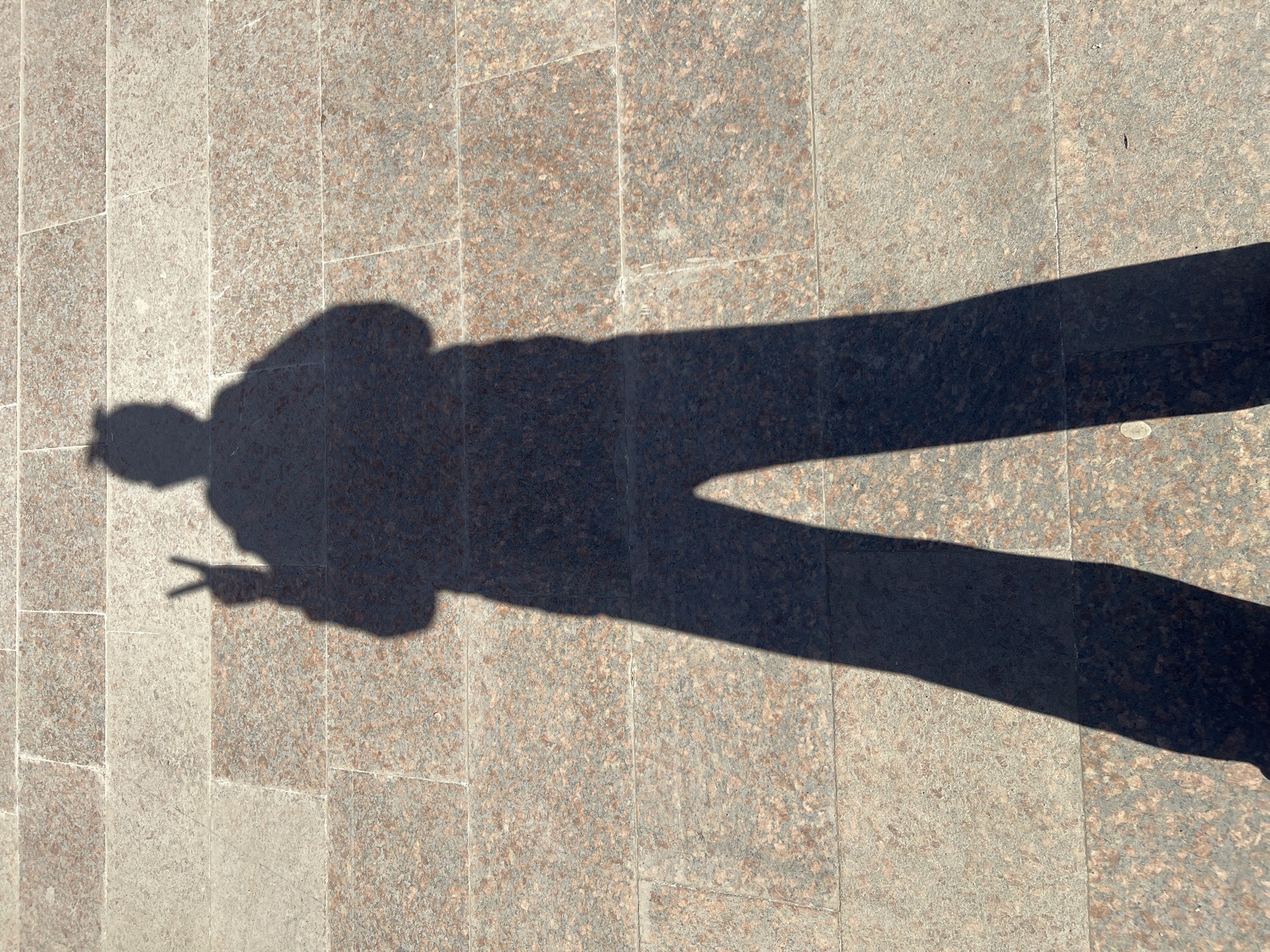 A shadow of a person is cast on a tiled surface. The shadow shows the person holding up their hand in a peace sign. The location is unknown and not identifiable from the image.