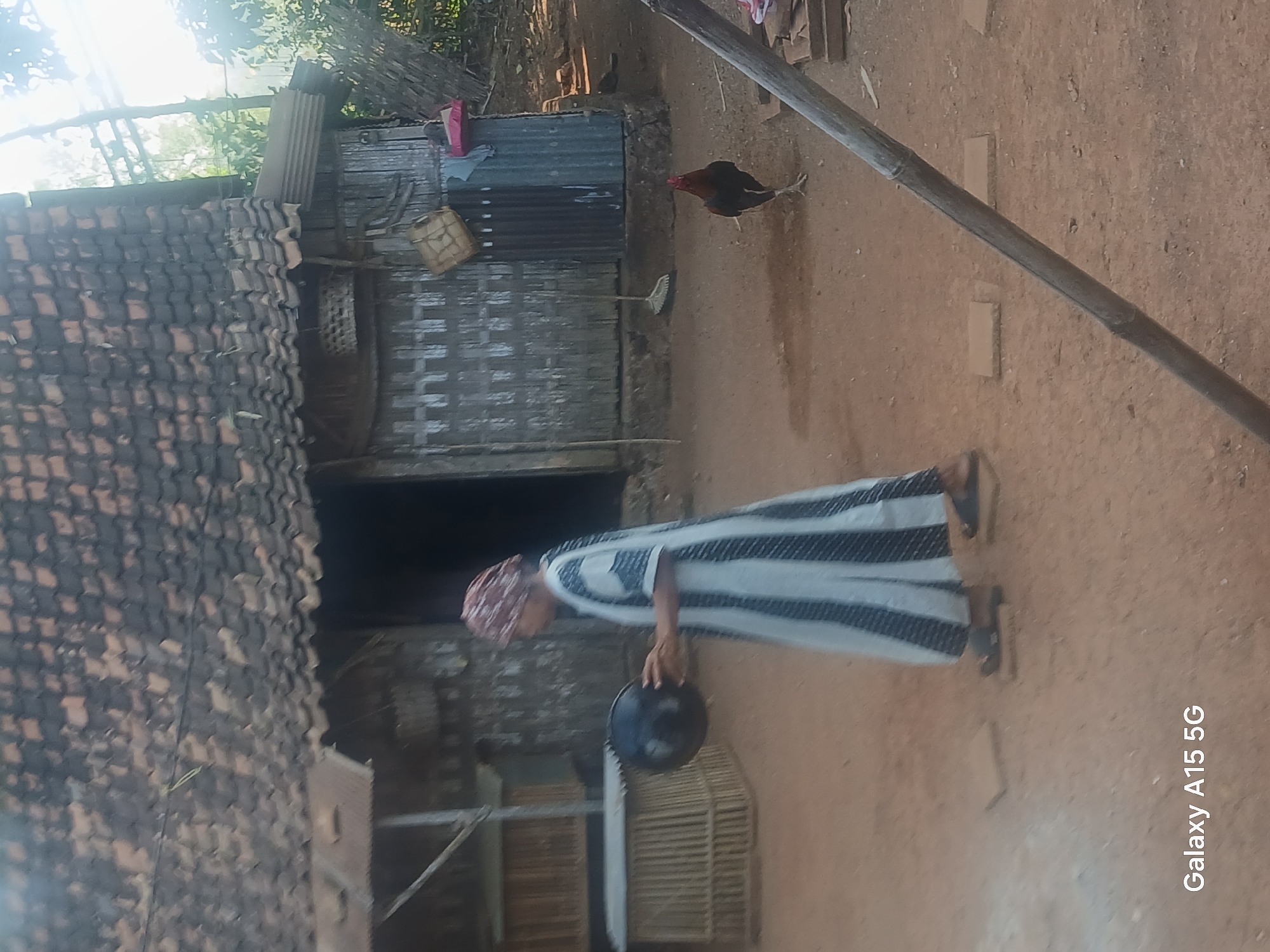 A woman wearing a headscarf and a long, striped dress walks to the left, carrying a dark, spherical object. She is in front of a weathered building constructed with wood and corrugated metal, with a tiled roof. A rooster stands on the ground to the right of the building. The ground is dirt, with scattered flat stones. In the background, lush green foliage is visible, illuminated by bright sunlight. The scene appears to be in a rural setting in Mrecah, Indonesia.