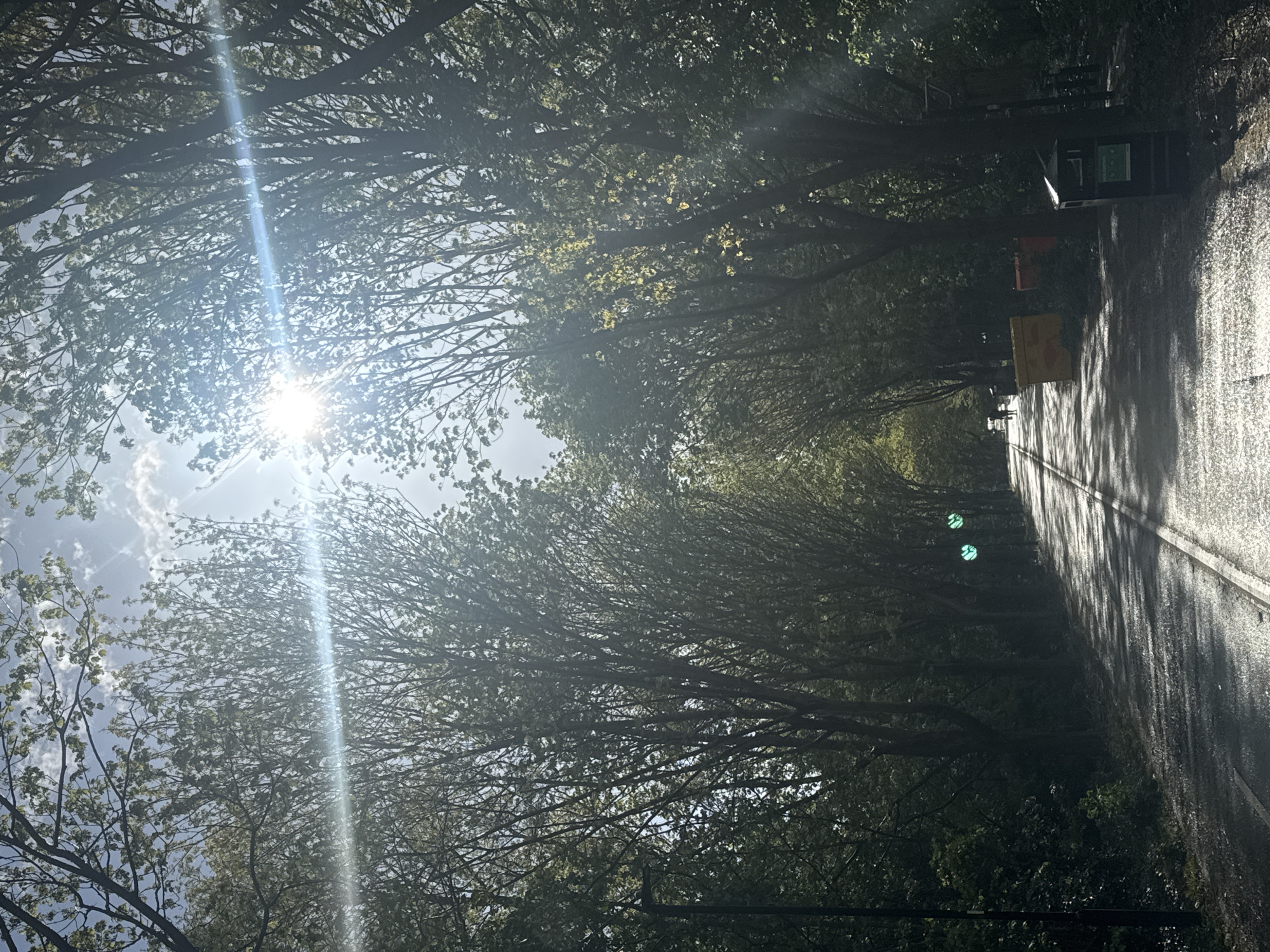 The image depicts a tree-lined road in daylight. Sunlight shines through the branches, creating bright flares and shadows. The road surface appears wet, reflecting light. There is a bin and some road signs on the right side of the road.
Though I cannot definitively confirm the location in London, UK, without additional information, the presence of specific types of road signs is indicative of locations in the United Kingdom.