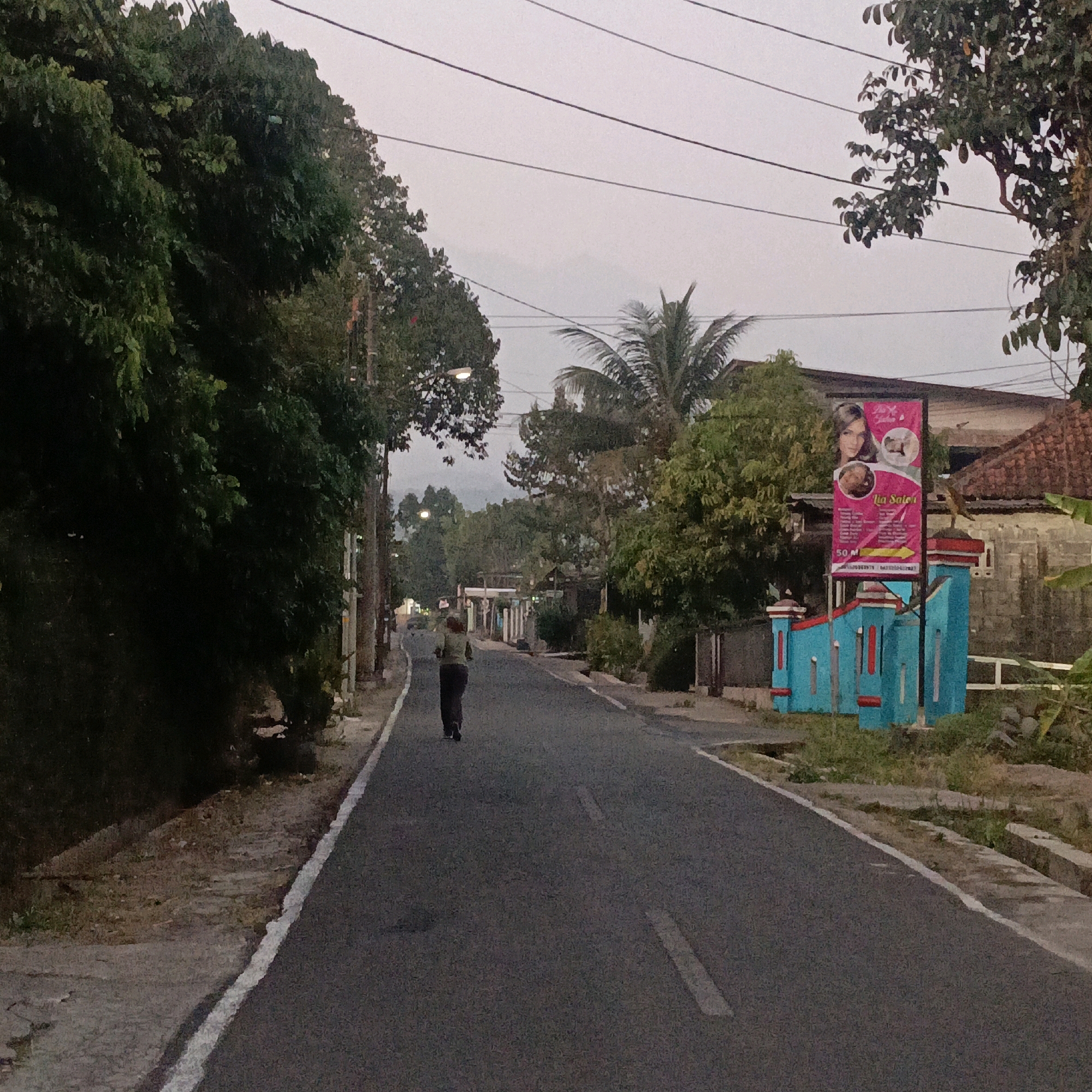 The image depicts a street scene in Salatiga, Indonesia, likely in a semi-urban or suburban area, under an overcast sky, possibly at dusk or dawn. The road is asphalt with white lane markings and a lighter paved shoulder or sidewalk on the left. On the right side of the road, there's a vibrantly painted structure with blue and red accents, possibly a decorative gate or fence, topped with a large pink banner advertising "Lia Salon" with images of women and text in Indonesian. Behind this structure are residential buildings with tiled roofs and visible building materials.
A lone figure, dressed in a dark top and pants, walks away from the camera down the center of the road. The left side of the street is lined with dense, dark green foliage from large trees, casting shadows on the adjacent path. Power lines are visible crisscrossing the sky. In the background, more trees and buildings are visible, and the landscape recedes into a hazy distance. The overall impression is a quiet street with local commercial advertising prominent.