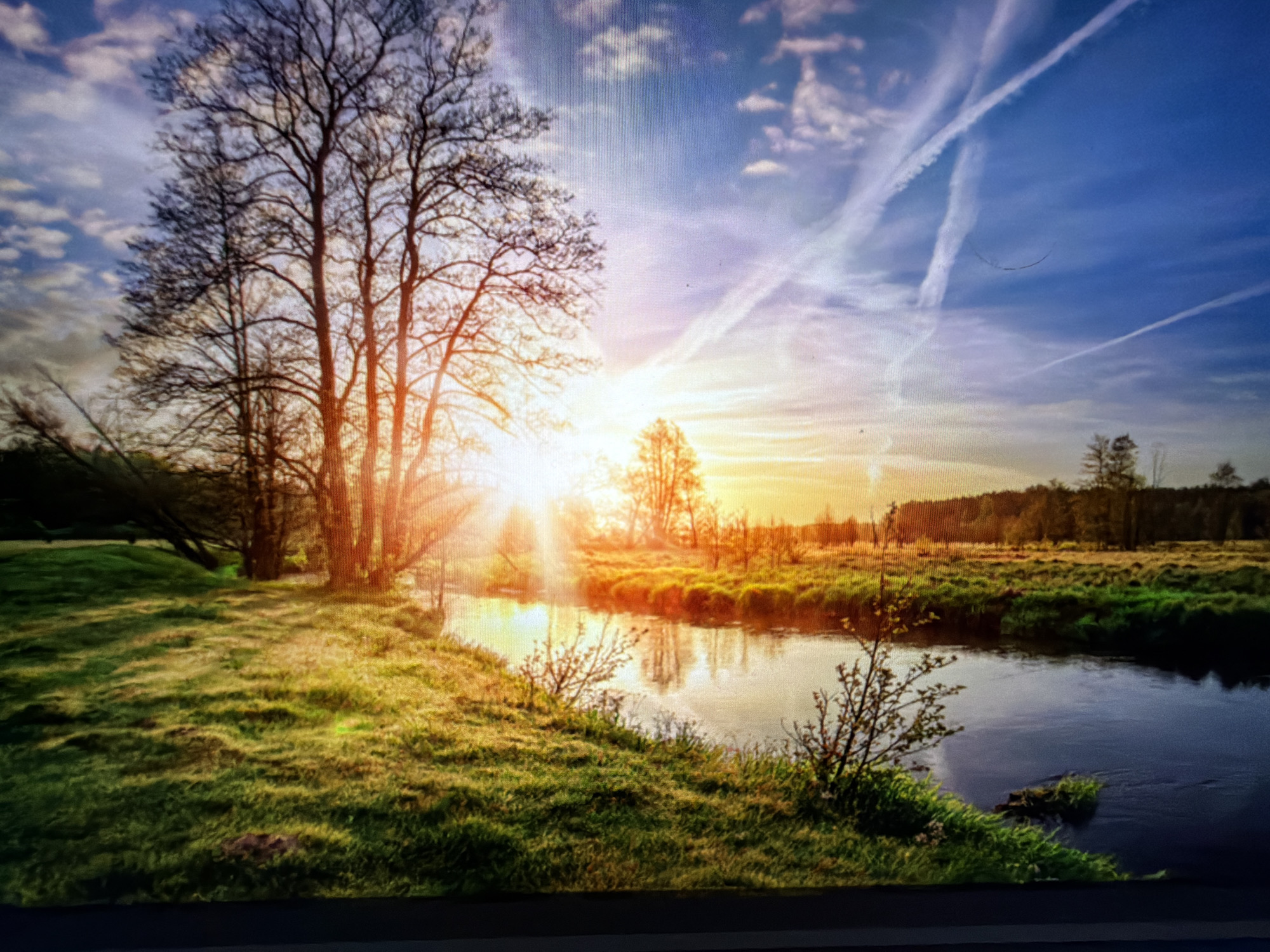 This image depicts a tranquil natural scene, likely in or near Falenty Nowe, Poland, characterized by a river flowing through a grassy landscape. The sun is low on the horizon, casting a warm, golden light across the scene, creating lens flare effects. Bare trees with intricate branches stand tall on the left side, their silhouettes contrasting with the bright sky. The sky itself is a vibrant blue, adorned with scattered clouds and prominent contrails from aircraft. The river reflects the warm hues of the sunset, its surface rippled. The banks are covered in lush green grass, with sparse, leafless bushes dotting the foreground. In the distance, a treeline forms a natural border to the landscape, under the expansive sky. There are no people or animals visible in the frame, emphasizing the quiet serenity of the natural environment.