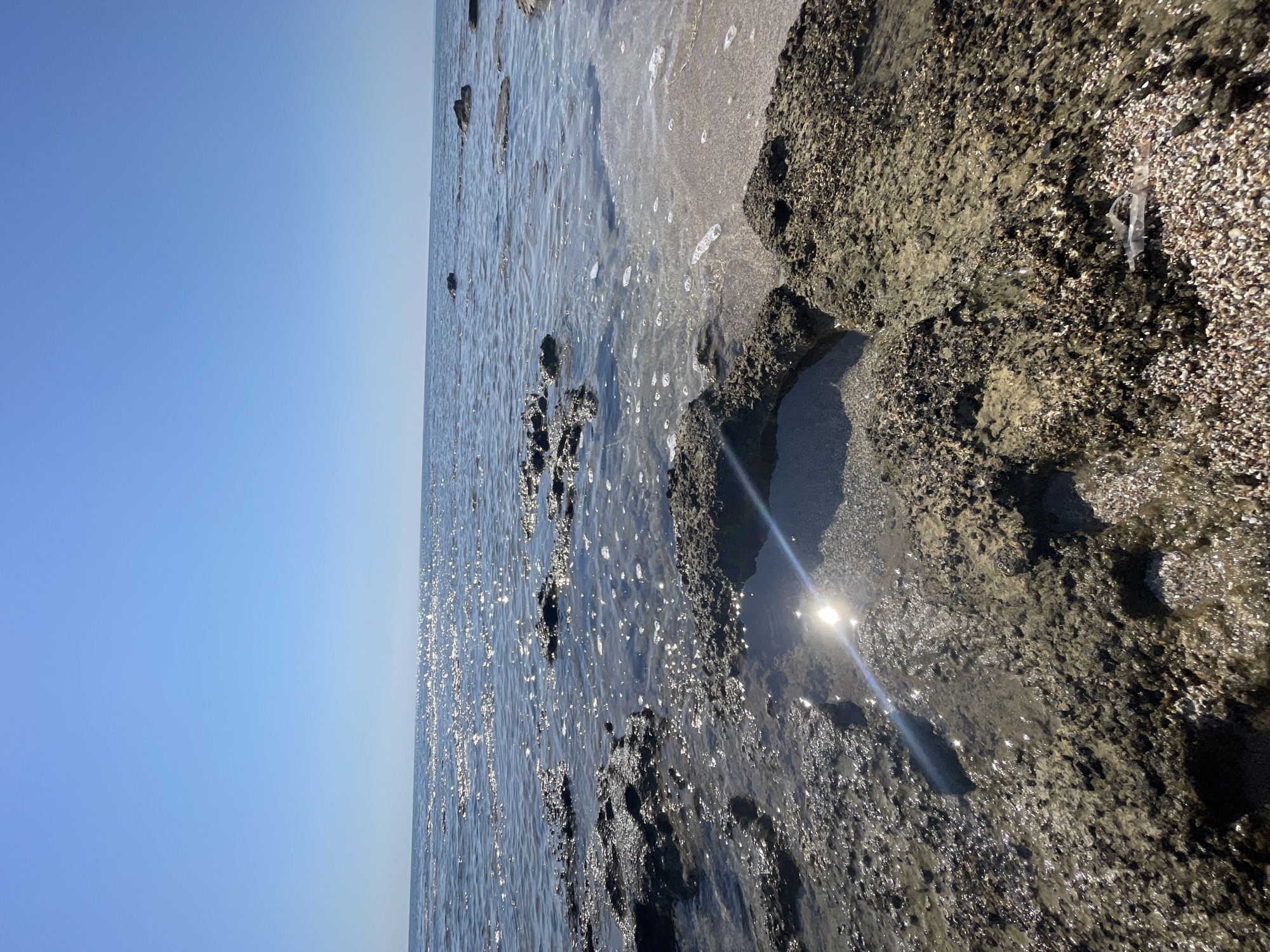 This is a low-angle, wide shot of the coastline in Agios Sergios, Northern Cyprus. The sky is clear and a bright, consistent blue, occupying the top third of the image. Below the sky, the sea stretches to the horizon, with the surface shimmering due to sunlight reflecting off the water. The water appears calm with small waves gently lapping at the shore. The foreground is dominated by rugged, textured rocks and shallow pools of clear water. The rocks are a mixture of dark, rough surfaces and lighter, sandy patches covered in small shells and pebbles. The sunlight creates bright reflections on the wet rock surfaces and within the pools. There are no people or animals visible in the scene. The environment is natural and appears to be a rocky beach or tidal area.