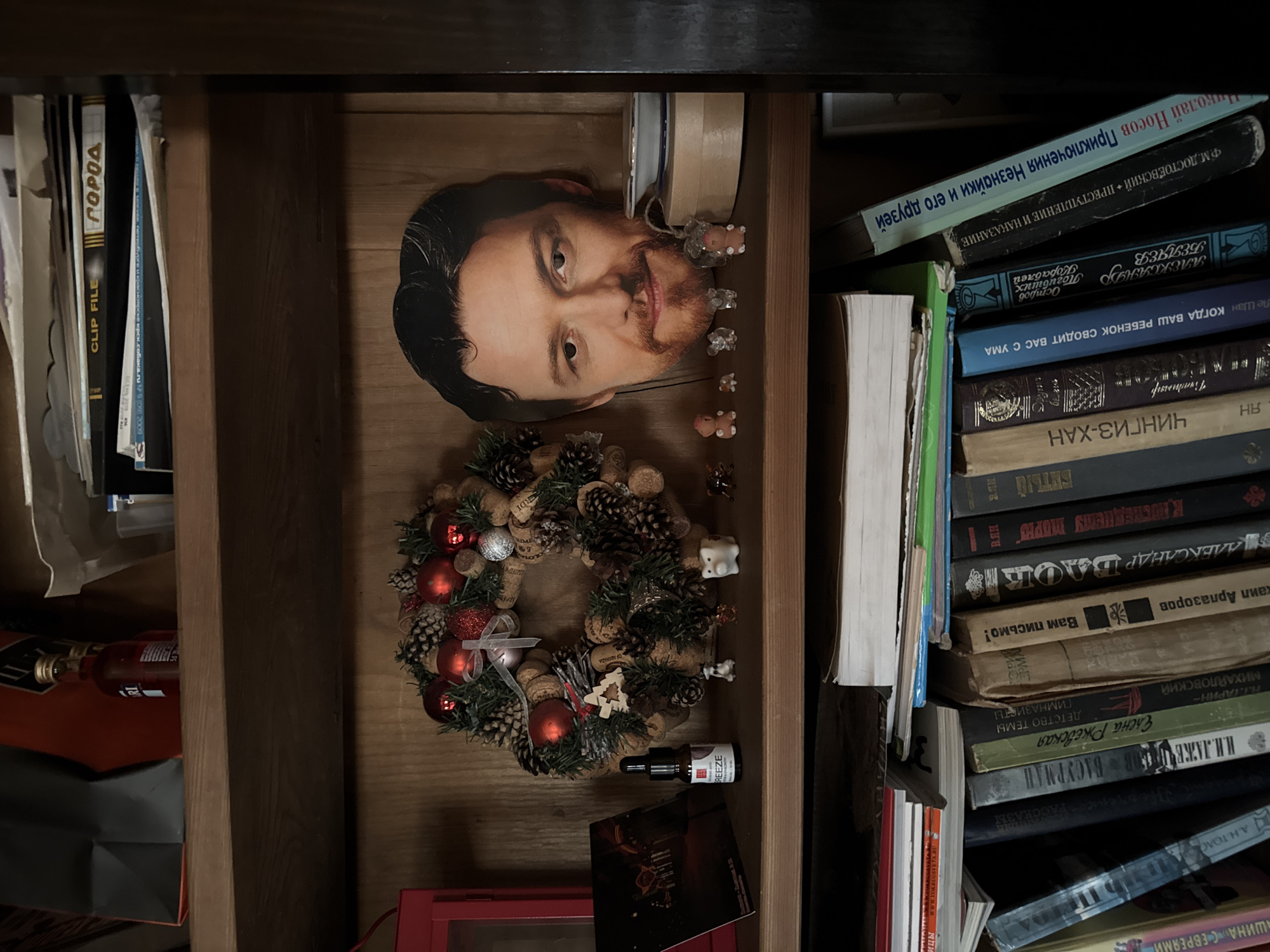A straight-on, eye-level shot depicts the interior of a shelf filled with assorted items. On the left side, there is a stack of books, including one titled "ГОРОД" and another labelled "CLIP FILE". A bottle, marked "RI", is also visible. At the top center of the shelf, a head cutout of a man with a beard is placed. Beneath the cutout, there is a decorative wreath made of pine cones, wine corks, and red Christmas ornaments. Additionally, there are several small figurines and a small bottle labeled "REEZE". On the right side of the shelf, there is a stack of books with titles in Russian, one of which translates to "The Adventures of Dunno and his friends" by Nikolai Nosov and another which translates to "Crime and Punishment" by F.M. Dostoevsky. The setting is likely in Заимка (снт), Russia, based on the Russian titles of the books.