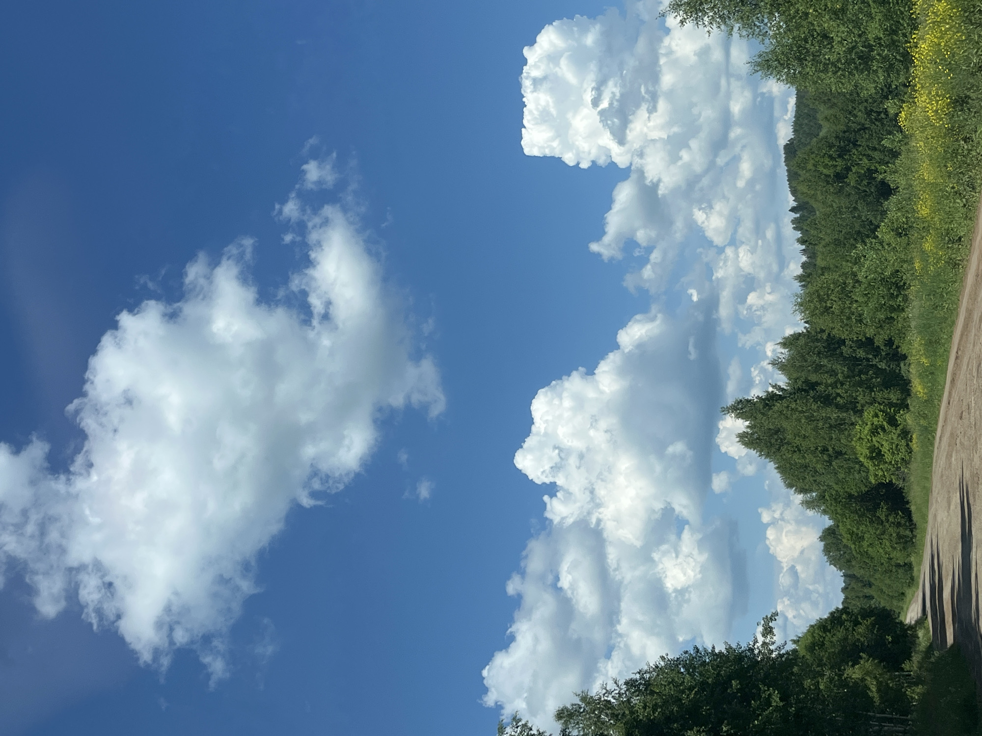 The image depicts a dirt road winding through a dense forest under a bright blue sky dotted with white, fluffy clouds. The road is unpaved, with tire tracks visible, suggesting it is used by vehicles. Tall green trees line both sides of the road, creating a natural canopy. In the foreground, the trees are lush and full, while further in the distance, the forest extends to rolling hills. The sunlight casts shadows on the road, indicating a clear day. The scene is devoid of any people or animals. This appears to be a rural or natural landscape, possibly in a location such as Al'nyash, Russia, given its wooded terrain and unpaved road.