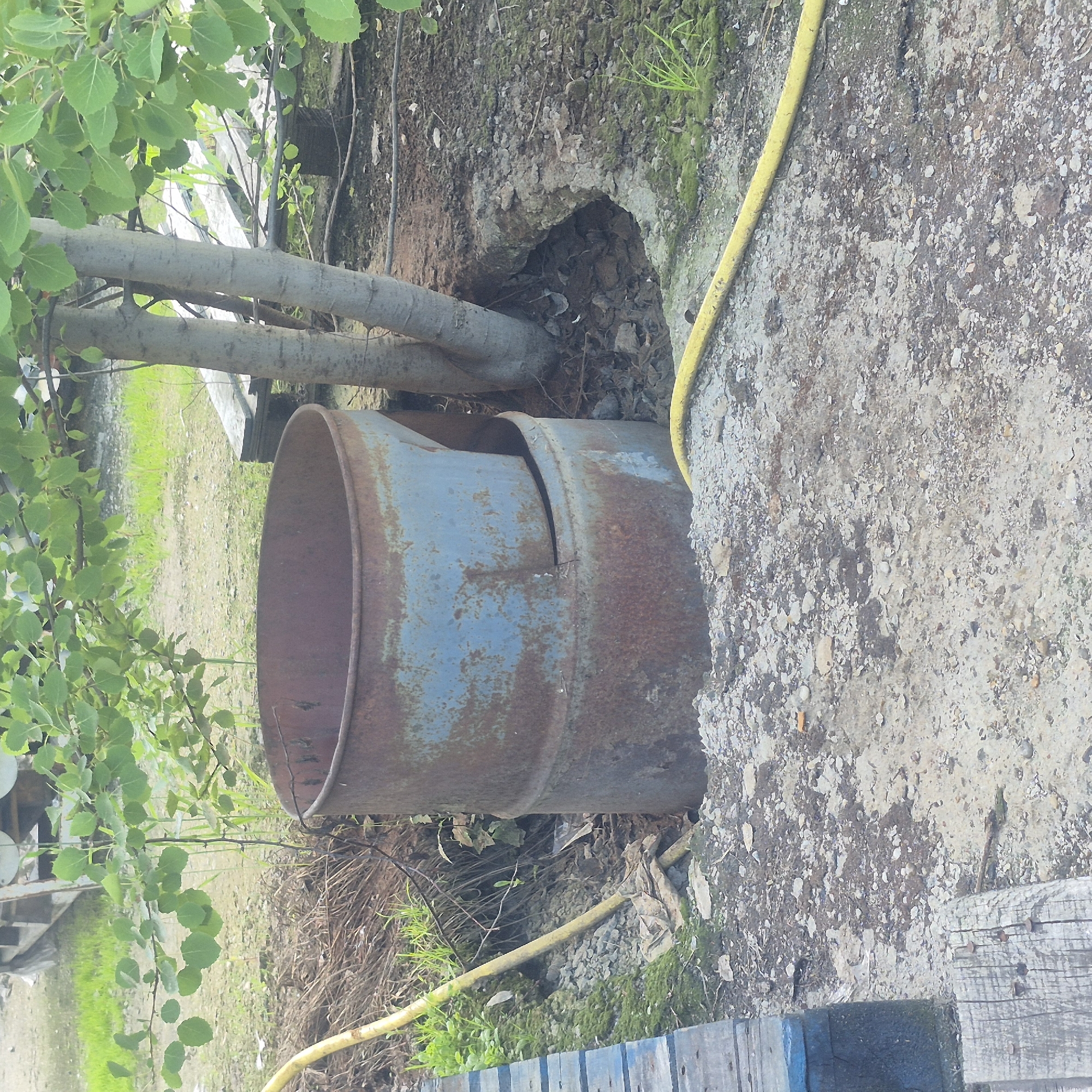 This media file depicts an outdoor scene with a rusty, weathered metal barrel as the primary object. The barrel is partially submerged in or leaning against a disturbed earthen embankment, suggesting it might be a discarded item. There are tree trunks and branches with green foliage visible in the foreground, implying a natural or overgrown setting. A yellow hose snakes across the ground and near the barrel, possibly indicating some form of utility or irrigation. The ground is a mix of dirt, small stones, and patchy vegetation. In the background, a pathway or clearing with some grass and debris is visible. A wooden structure, possibly part of a fence or platform, is present in the lower right corner. The scene appears to be set during daylight, with the lighting suggesting an overcast or diffused light condition. There are no people visible in the frame. The overall impression is one of a neglected or rural outdoor area. No text is visible in the image.