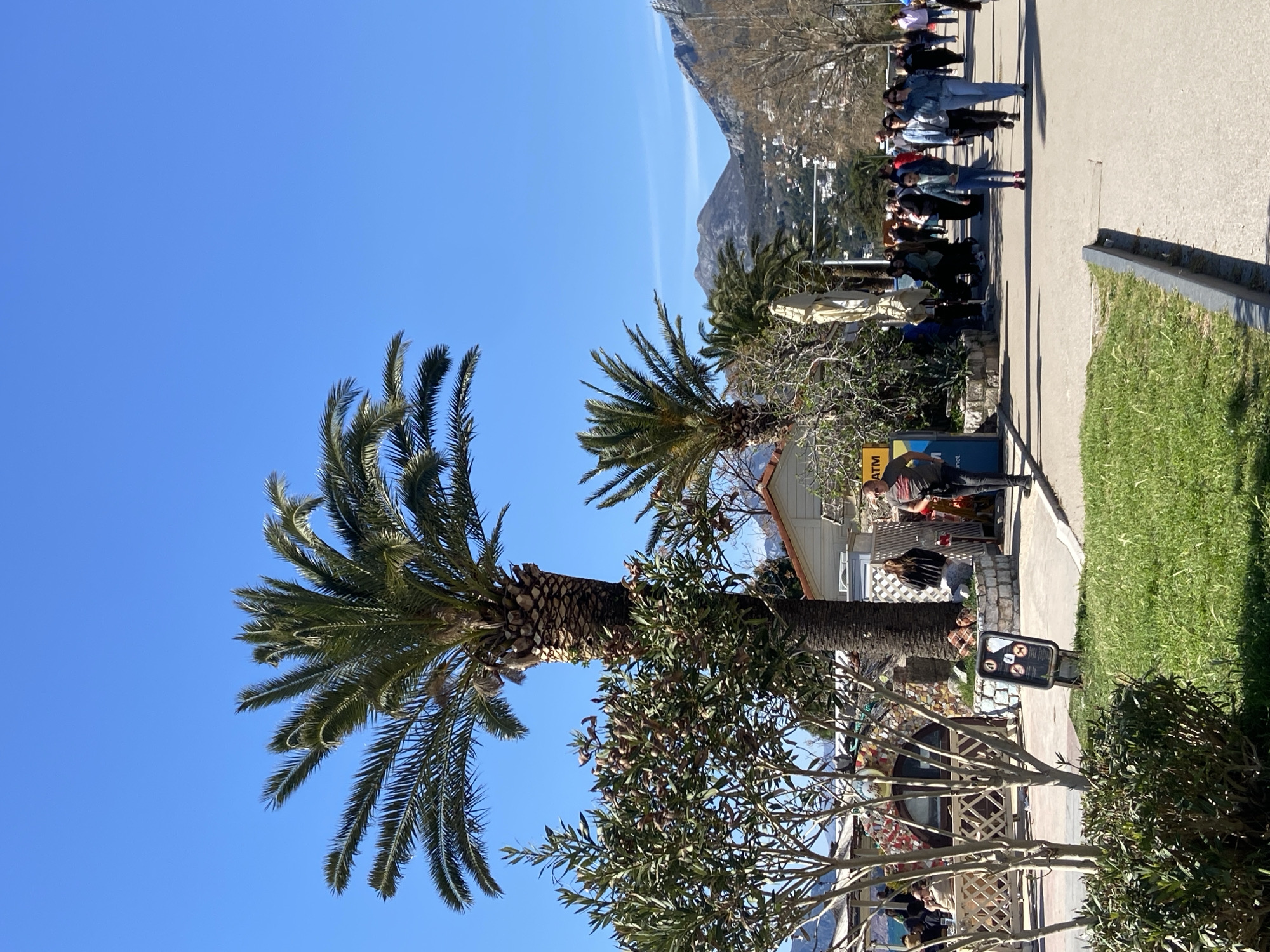 The image shows a sunny outdoor scene on a paved walkway in Bar, Montenegro, near the shoreline. A line of people is walking along the walkway. The foreground features two palm trees and a small tree. A building sits behind the trees, along with an ATM sign. The backdrop includes a mountain range under a clear blue sky. A sign is situated next to the walkway. A patch of green grass separates the walkway from the foreground vegetation.