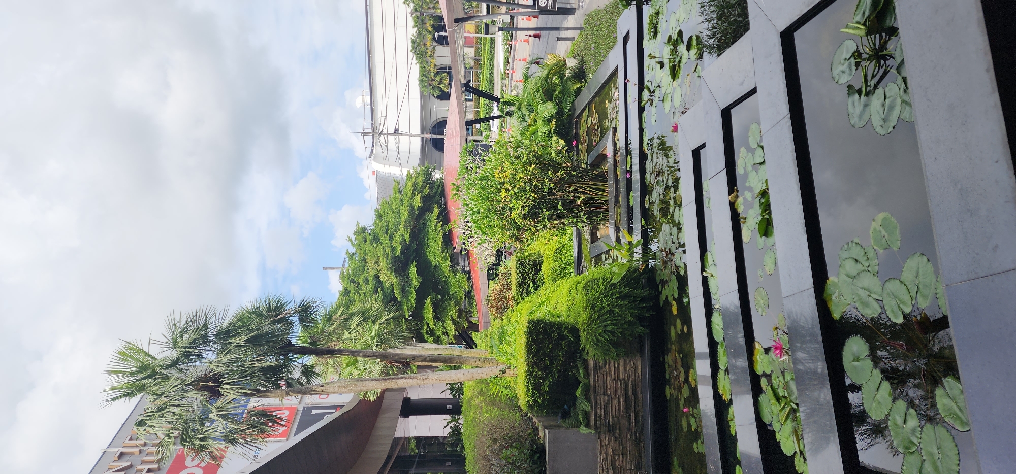 The image captures a multi-tiered water feature with lily pads and pink water lilies in the foreground, set against a backdrop of lush greenery and modern architecture. To the left, a portion of a building with large windows and signage is visible, with palm trees and manicured bushes surrounding it. Behind the foliage, a multi-story building with a white, curved roof and arched windows is apparent, suggesting a commercial or public space. The scene is illuminated by daylight under a cloudy sky. The location is identified as being in the city of Wichit, Thailand, likely an outdoor area of a shopping mall or a similar establishment.