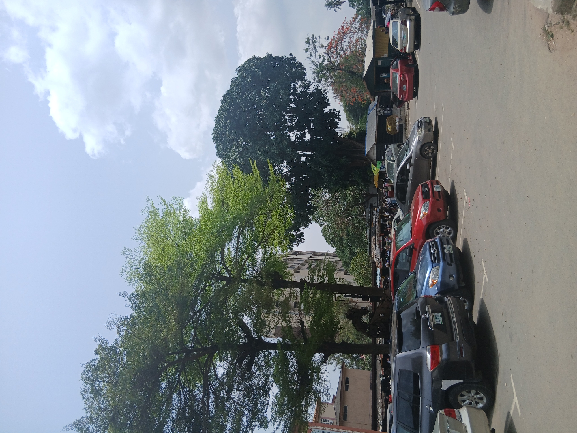 The image depicts a street scene in Lagos, Nigeria, characterized by a parking area with multiple parked vehicles. The vehicles are of various makes, models, and colors. The parking area is adjacent to a row of small shops or stalls, indicated by the presence of awnings and possible vendors. The scene is partly shaded by tall trees with green foliage. A tall building is visible in the background. The sky is partially covered with clouds.