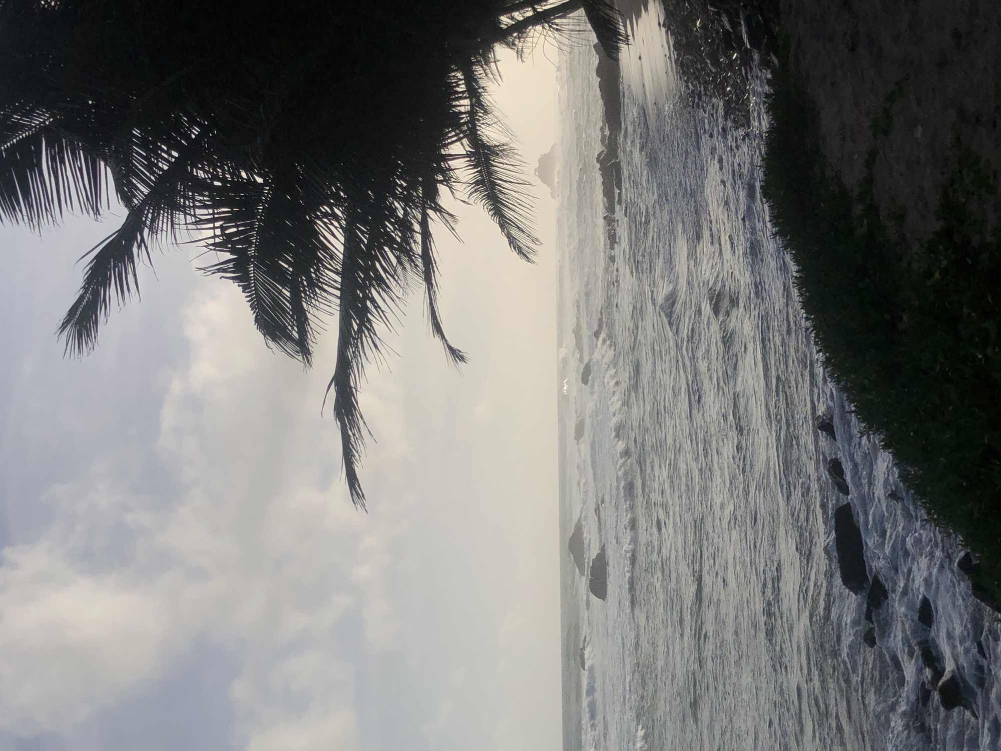 This media file depicts a tranquil coastal scene in Midigama, Sri Lanka, likely captured during sunrise or sunset due to the soft, diffused lighting and prominent silhouettes. The image is oriented vertically (or rotated 90 degrees clockwise from its natural horizontal landscape), showing the sea, sky, and elements of the shoreline.
In the foreground, dark, silhouetted palm tree fronds extend into the upper-left and top portions of the frame, adding a tropical touch and framing the view beyond. The sky, occupying the left side of the image (when correctly oriented), features soft, light grey and white clouds, with a brighter, hazy band near the horizon where the sun's low position is suggested.
The ocean dominates the right side of the frame, with gentle waves breaking near the shore. Several dark rocks are visible within the water and possibly along the immediate shoreline. Along the very bottom edge (when correctly oriented), a strip of dark land or dense vegetation borders the water.
No people or discernible activities are visible, emphasizing the natural, untouched beauty of the location. The overall atmosphere is peaceful and calm. There is no visible text in the image.