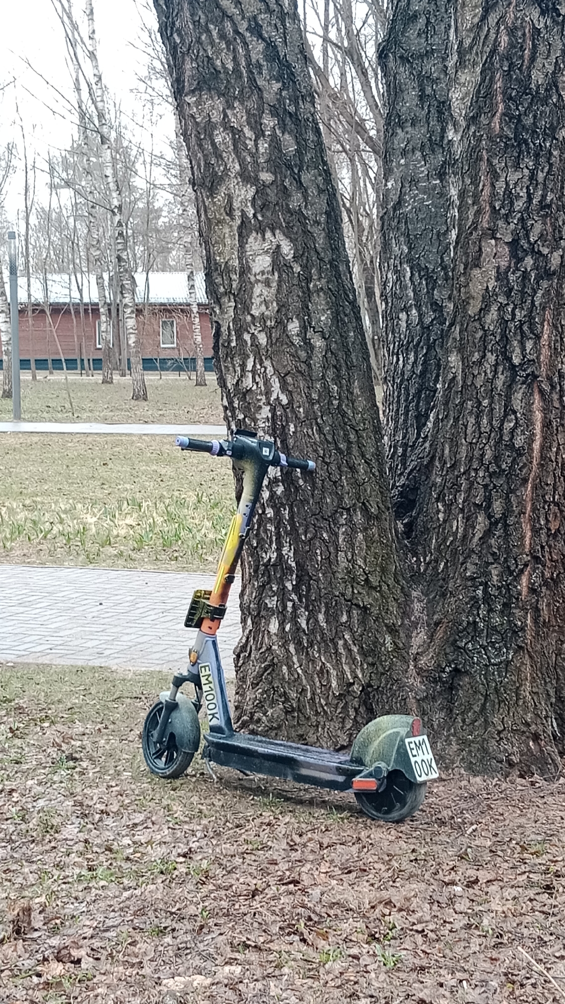 A black and yellow electric scooter, with "EM100K" printed on its side, is leaning against a large tree in a park. The ground is covered in brown leaves and grass. In the background, there is a red building and other trees. The scooter's license plate reads "EM1 OOK." The scene is likely in Moscow, Russia, given the scooter's license plate style.