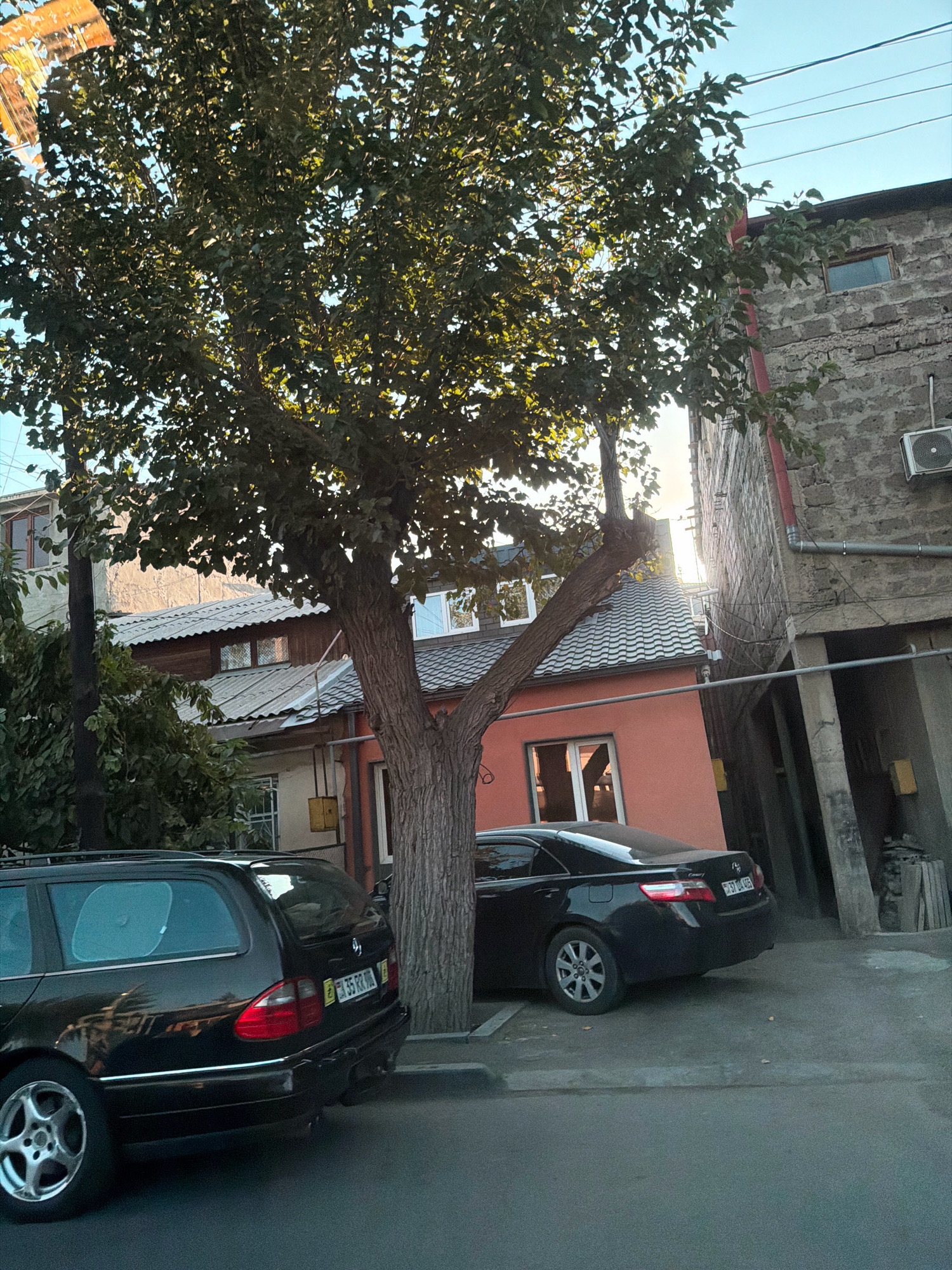 The image depicts an outdoor scene in Yerevan, Armenia, featuring two parked cars, a tree, and buildings. In the foreground, a black station wagon is parked on the left, and a black sedan is parked to its right. A mature tree with dense foliage stands prominently in the center, its branches extending over the cars and buildings. Behind the tree, a multi-story building constructed with concrete blocks is visible on the right, with an air conditioning unit mounted on its exterior. To the left of this building, a smaller, two-story building with a reddish-orange facade and a light-colored tiled roof is present. The sky above is clear and blue. The overall impression is of a residential street or courtyard in a city setting.