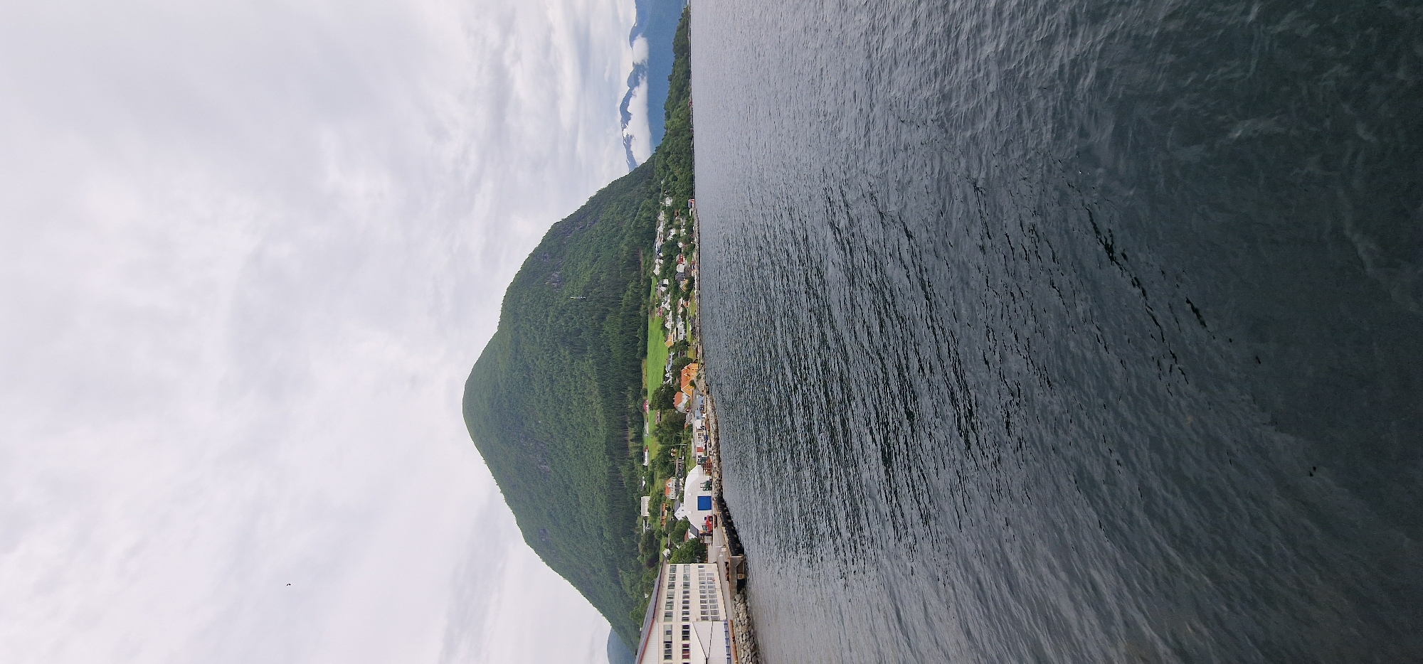 A wide, slightly overcast view captures a serene body of water in front of a small coastal town nestled at the base of a large, tree-covered mountain. In the foreground, dark, rippling water dominates the lower half of the image. Along the left edge, a long, white industrial building with numerous windows stands on a pier. Beyond the building, a cluster of colorful houses, some with red roofs, dots the shoreline. The mountain behind the town is a lush green, its slopes covered in dense trees. The sky above is a muted gray with scattered clouds. In the distance, further mountains are visible, some with snow-capped peaks. The scene appears to be a quiet, picturesque landscape typical of a Norwegian fjord.