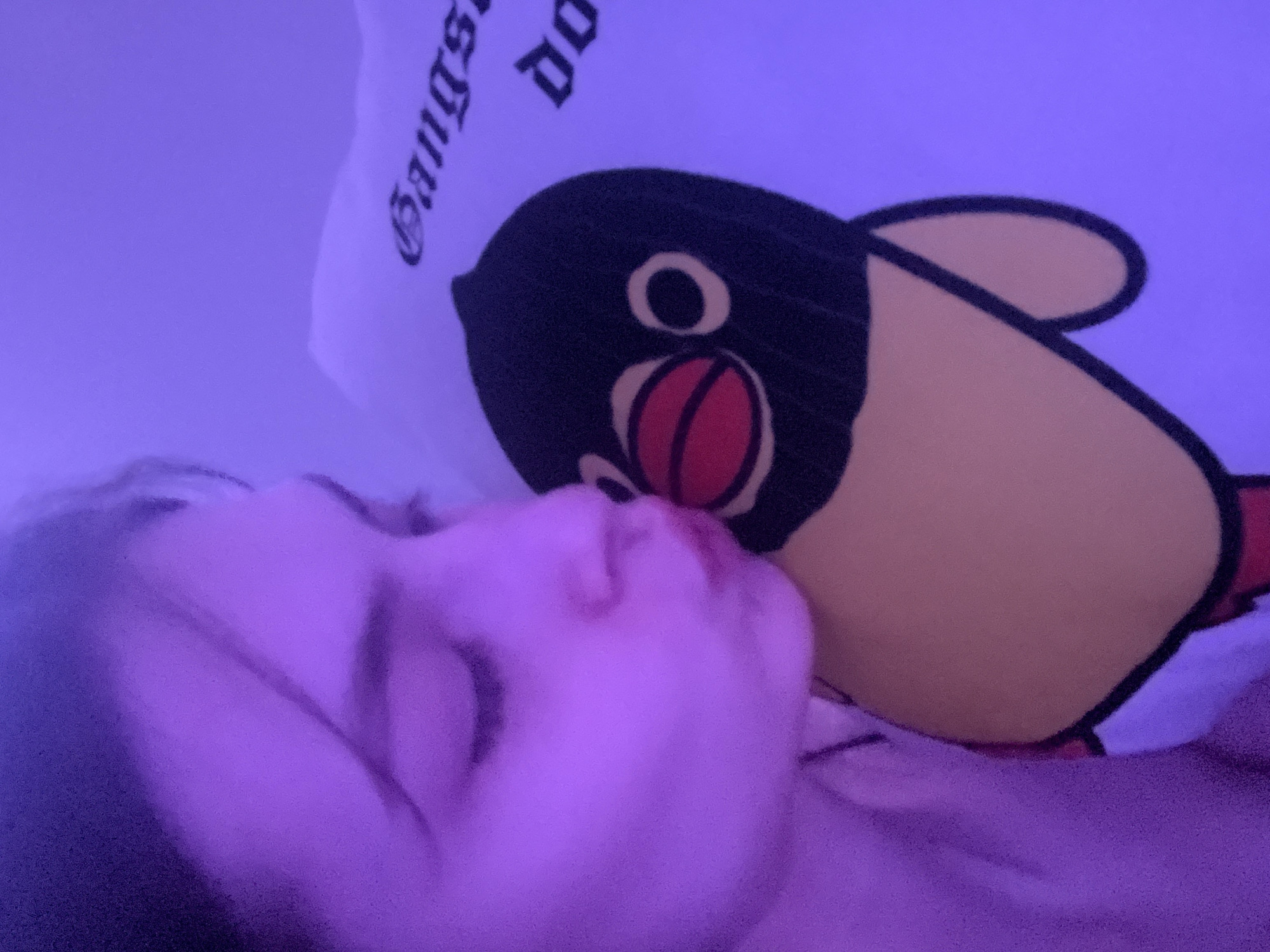 A person lies in bed with their eyes closed, face partially obscured by a Pingu plush pillow. The pillow features a black and yellow Pingu character with a red beak and the word "Gangster" printed above the character. The lighting is predominantly purple. There is no evidence to suggest this image was taken in Saint Petersburg, Russia.