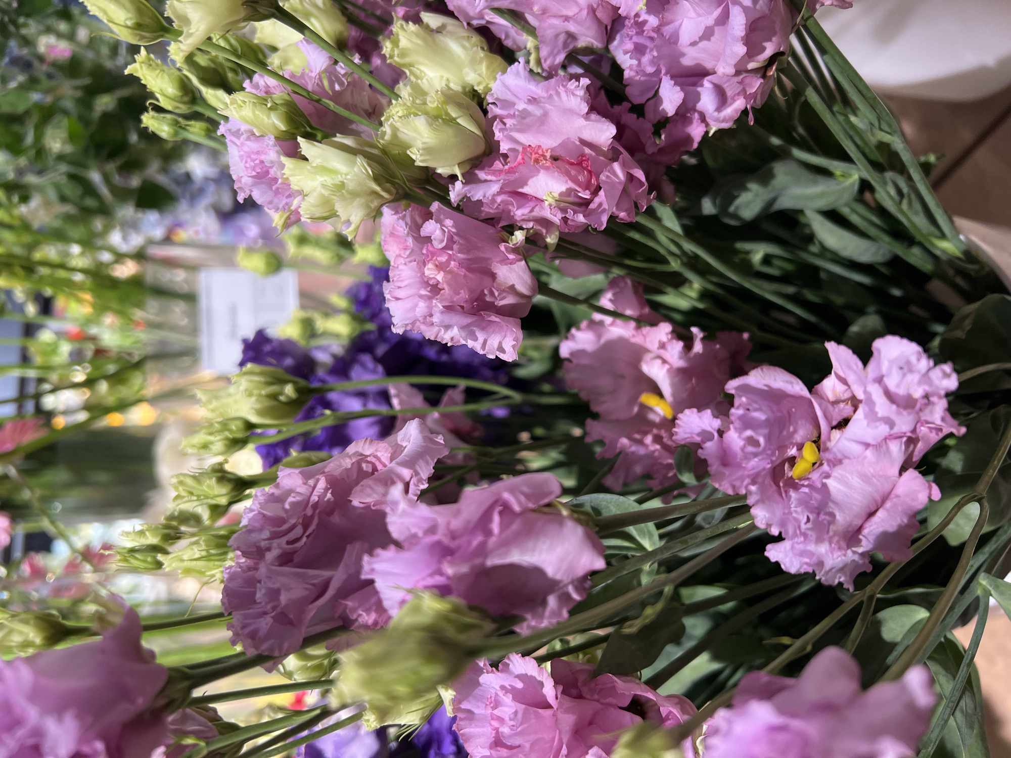 This image captures a vibrant close-up of several bouquets of fresh flowers, likely in an indoor setting such as a flower shop or market in Chaikovsky, Russia. The primary subjects are a profusion of delicate, ruffled flowers, predominantly in shades of light purple/lavender and pale green/cream. Some darker purple flowers are also visible deeper within the arrangements and in the background.
The flowers exhibit characteristics consistent with Lisianthus (Eustoma), with many blooms fully open, revealing small yellow stamens in their centers, while numerous buds are still tightly closed. Long green stems and foliage are visible, contributing to the lush appearance of the bouquets.
The photo is taken from a slightly elevated perspective, looking down into the dense floral arrangement. The background is largely blurred, creating a shallow depth of field that keeps the flowers in sharp focus. Within the blurred background, a rectangular light-colored sign with unreadable dark text is faintly discernible, possibly a price tag or informational label for the flowers. The lighting appears to be artificial, possibly from overhead lights, illuminating the petals and casting subtle shadows. There are no people visible, and no specific activity is taking place other than the display of the flowers. The overall impression is one of natural beauty and freshness.