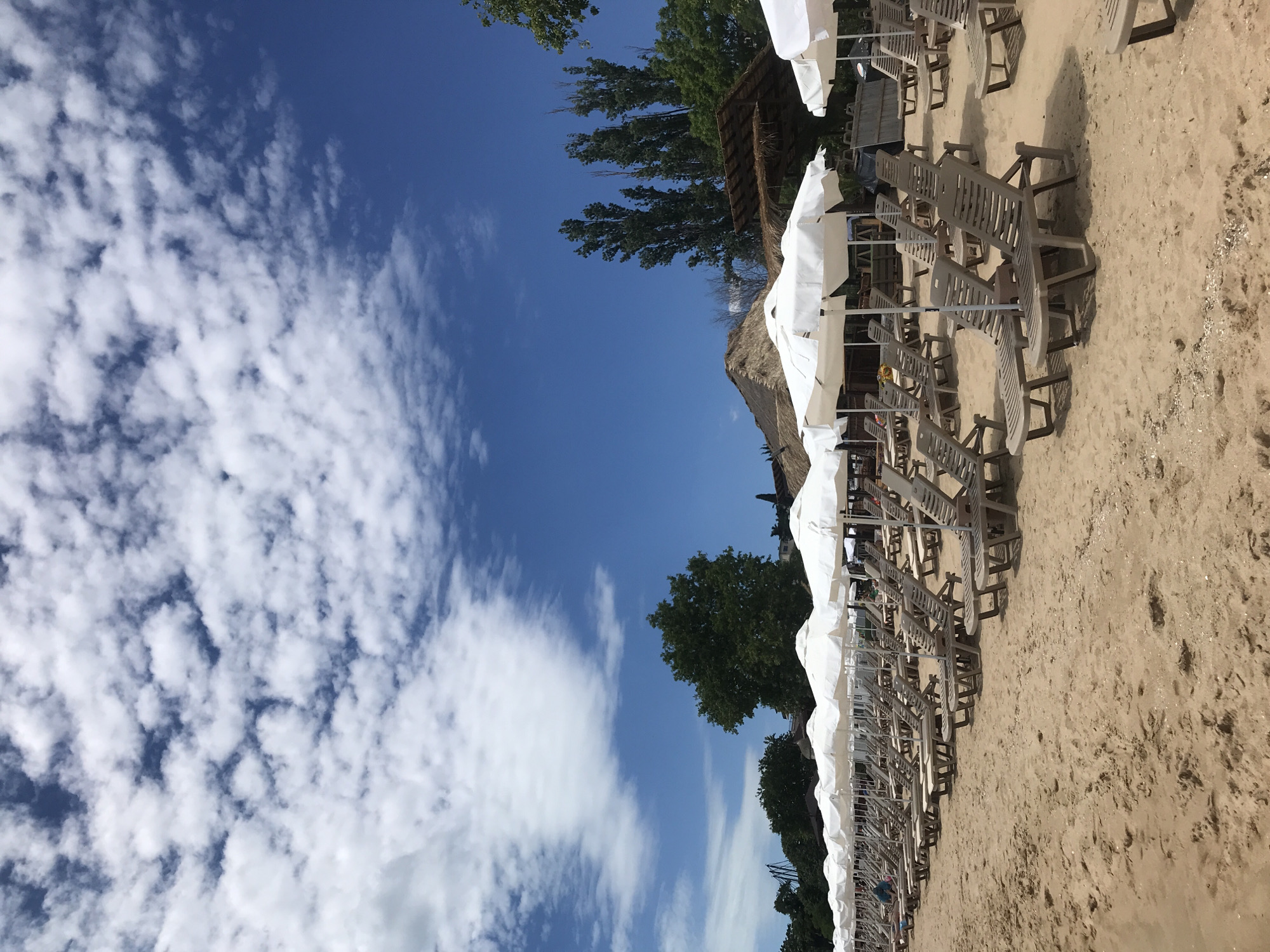 The image depicts a sun-drenched beach on a clear day, with an expansive view of the sky filled with fluffy white clouds against a vibrant blue backdrop. In the foreground, rows of empty beige lounge chairs are neatly arranged on the sandy shore, each accompanied by a white umbrella providing shade. The beach appears to be part of a resort or public beach area, with a few thatched-roof structures visible in the background, suggesting amenities like a bar or restaurant. Lush green trees and vegetation border the beach, and in the far distance, a roller coaster structure hints at an amusement park nearby. The scene is serene and inviting, characteristic of a popular tourist destination like the beaches in Varna, Bulgaria.