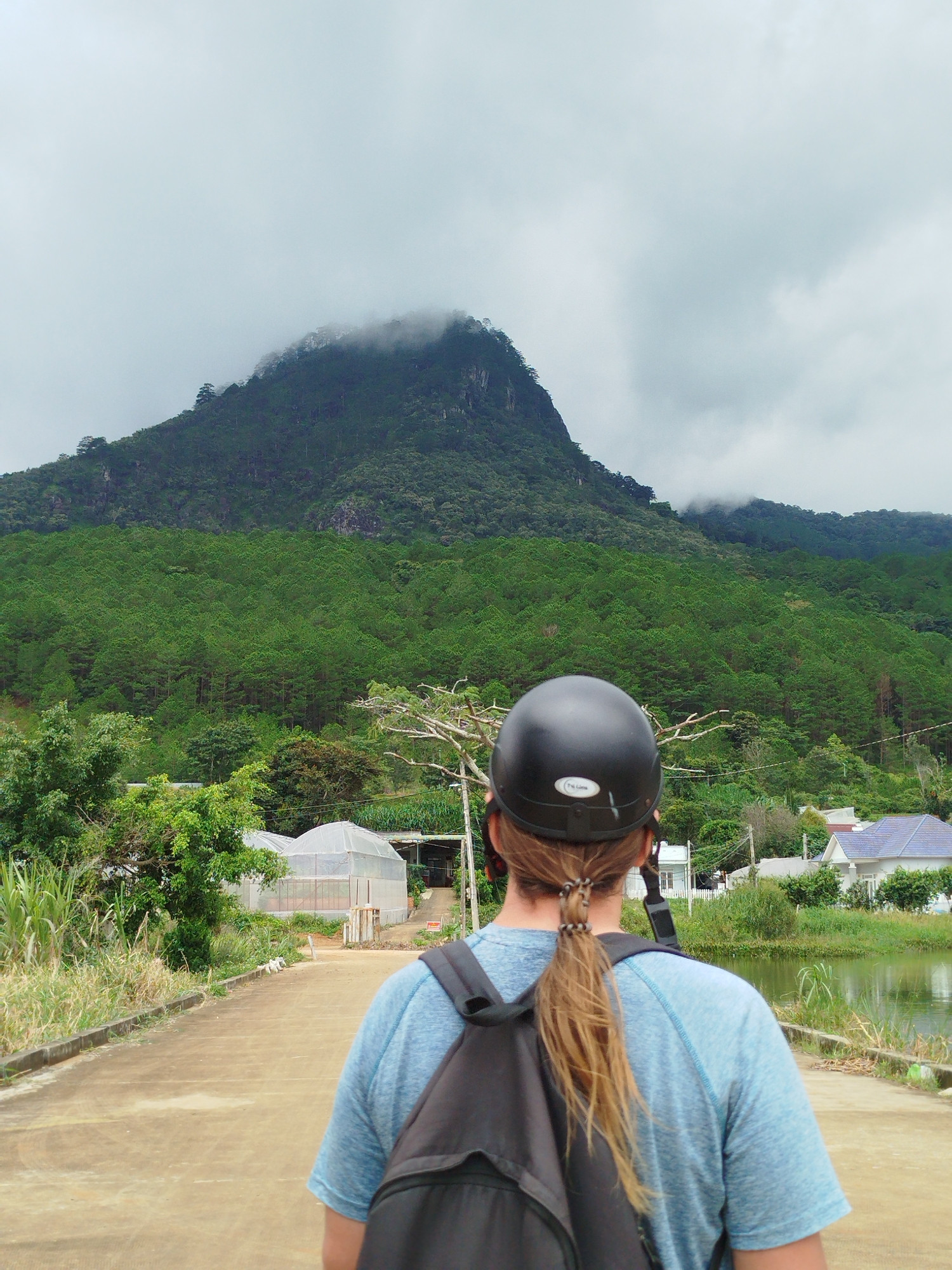 An over-the-shoulder view of a person wearing a black helmet and a blue t-shirt, with a black backpack on, walks down a paved path towards a mountain covered in dense green pine trees. The sky is overcast with white clouds. In the foreground, to the right of the path, is a body of water. In the middle ground, to the left of the path, are two greenhouses and some tall green plants. Further back, on the right side of the path, are some houses with blue roofs. The path is bordered by a low concrete barrier on the left and a grassy area on the right. The person's hair is tied in a ponytail and is visible hanging down their back. The person is walking away from the camera, looking towards the mountain. The overall impression is a rural landscape scene in K'Long, Vietnam.