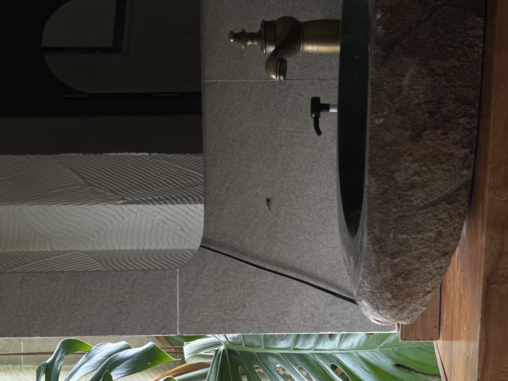 An indoor shot focuses on a stone sink with a brass faucet in what appears to be a bathroom or wash area. A large green monstera leaf plant is visible on the left side of the frame, with its leaves cascading down. The background features textured grey tiles and a dark, arched mirror, reflecting a portion of the room. The sink itself is a rough, natural stone basin, giving the scene a rustic, organic feel. The overall lighting is subdued, with some areas in shadow, suggesting a dimly lit interior. The scene is set in Da Lat, Vietnam.