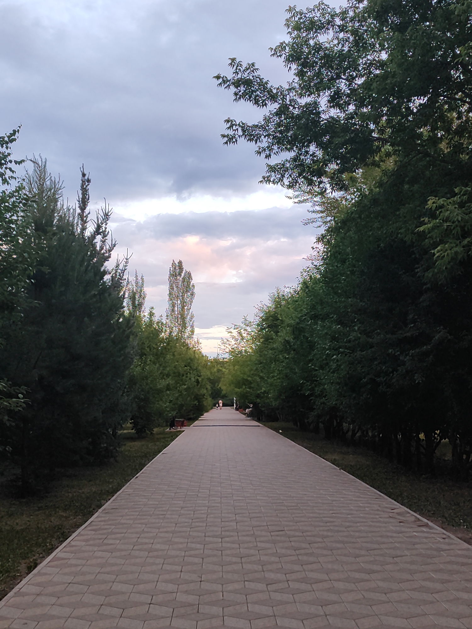 The image shows a paved pathway lined with trees, likely in a park or public area in Slavgorod, Russia. The pathway is constructed with geometric patterned pavers. On either side of the path, lush green trees form a canopy, with some taller, slender trees interspersed among them. The sky is overcast with dramatic clouds, suggesting either the approach of a storm or the aftermath of one. There's a hint of soft, pastel light breaking through the clouds in the distance, possibly indicating sunrise or sunset.
In the far distance, two small figures can be seen walking on the pathway, adding a sense of scale and suggesting the path is a place for recreation or transit. A dark object, possibly a trash receptacle, is visible to the left of the path. The overall mood is serene and natural, with a touch of atmospheric drama from the sky. The time of day appears to be late afternoon or early evening, given the lighting conditions. No visible text is present in the image.