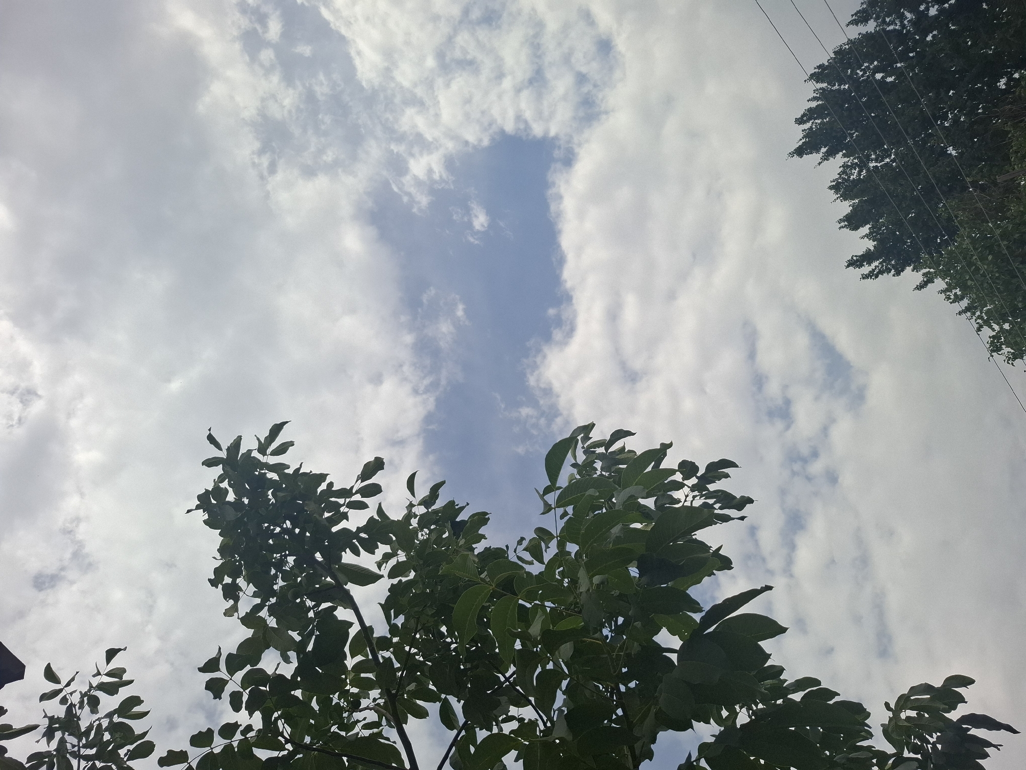 The image shows a view of the sky with some trees and power lines. The sky is partially cloudy with patches of blue visible. In the foreground, the branches and leaves of a tree are visible on the left side of the frame. In the lower right corner, the tops of other trees and power lines are visible. The image appears to have been taken outdoors during the daytime. There are no people or specific landmarks to indicate a precise location within Almaty, Kazakhstan.