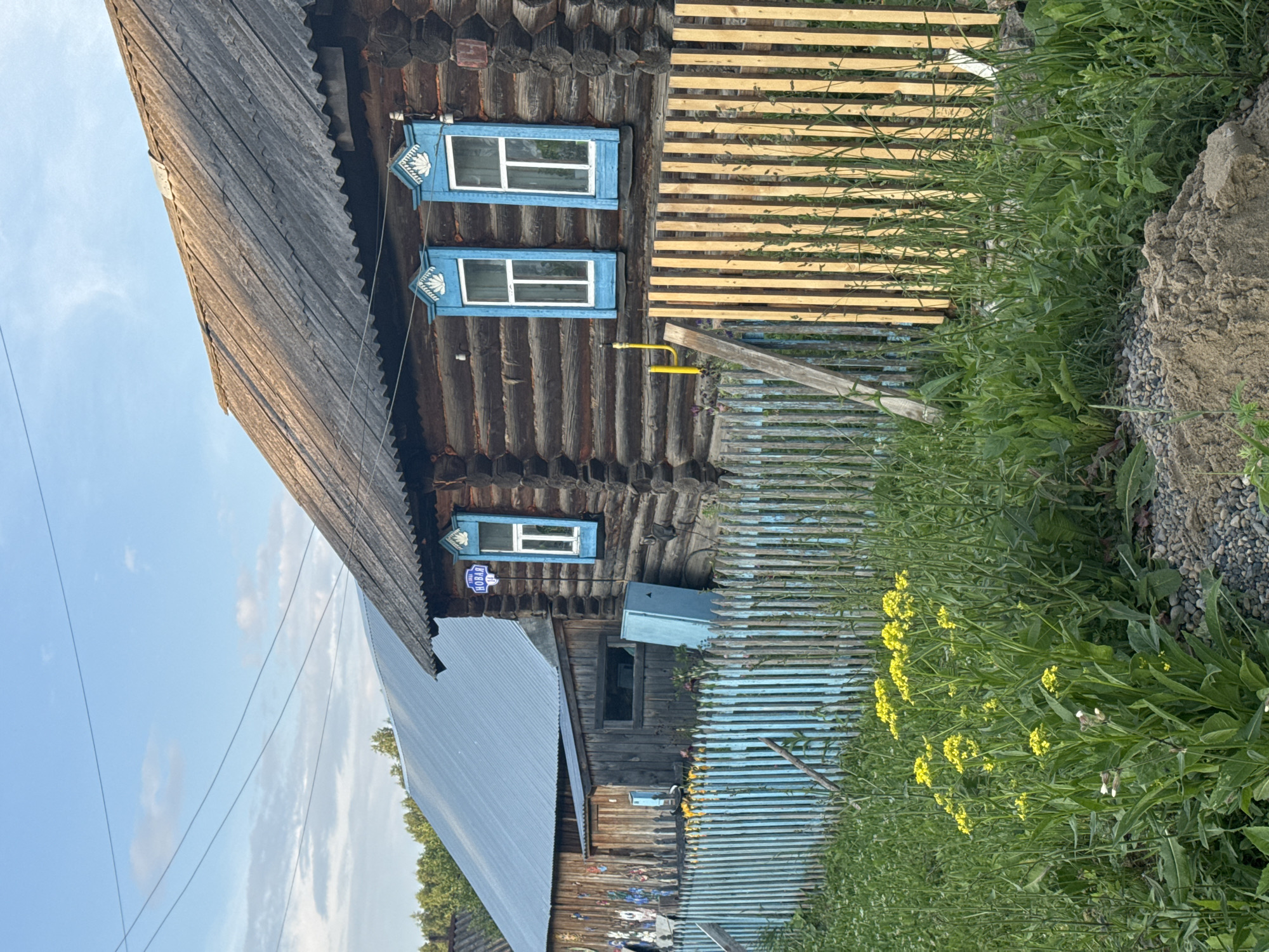 The image depicts a rustic scene in the city of Vassyata, Russia. The foreground is dominated by tall green grass and wild yellow flowers, with a pile of sand and gravel in the lower right corner. A weathered wooden fence, painted in shades of blue and yellow, separates the foreground from a traditional wooden log house. This house features two blue-framed windows with decorative white carvings above them, and a dark, corrugated roof. A blue metal object, possibly a storage container, is visible near the house. To the left of the log house is another building with a light blue metal roof and a wooden wall adorned with colorful painted images. Overhead, power lines stretch across a partly cloudy sky. The overall impression is one of rural simplicity and a well-lived-in dwelling.