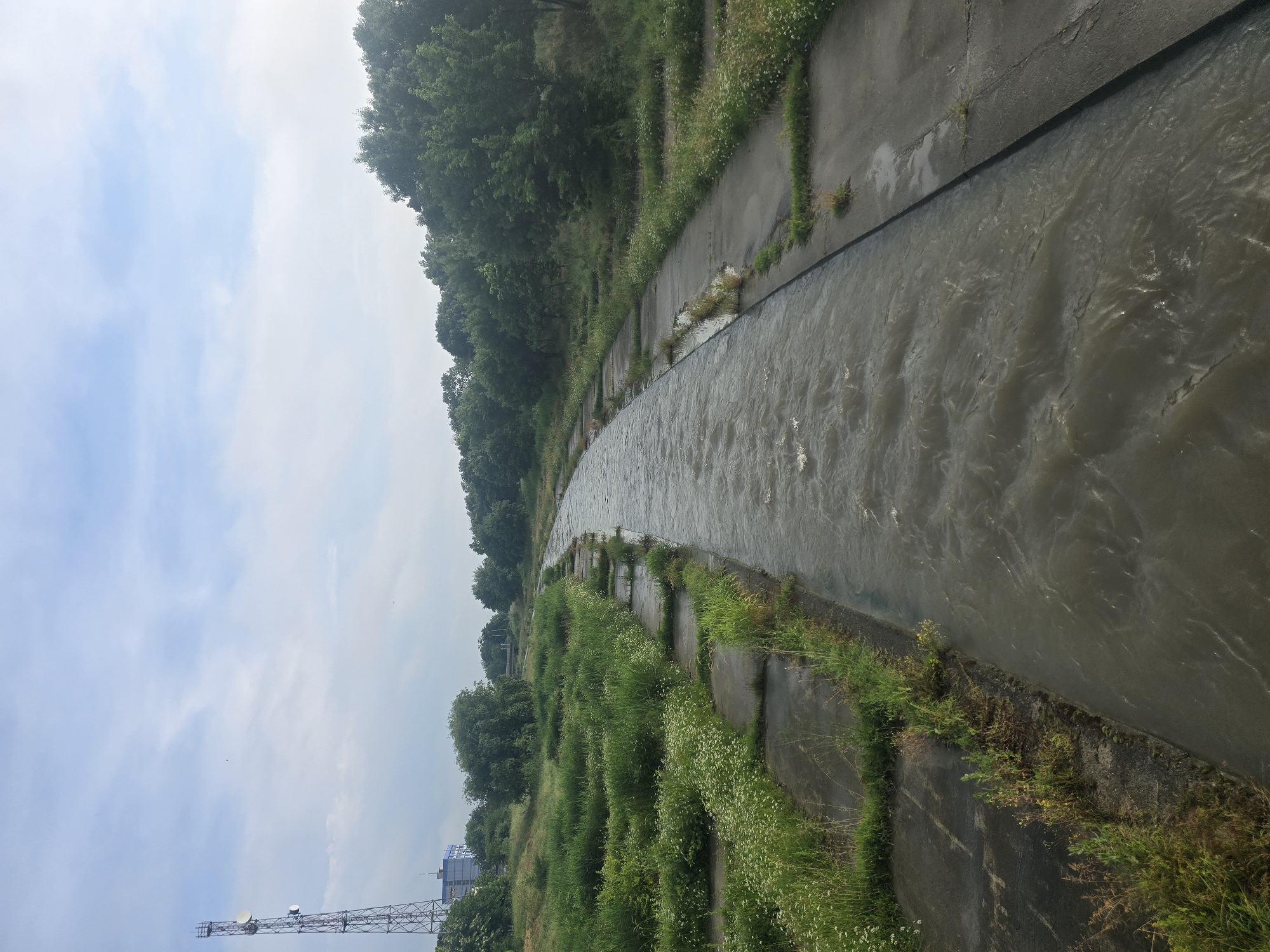 The image displays a concrete-lined canal or narrow river under an overcast, bright daytime sky, situated in Radnevo, Bulgaria. The perspective looks down the length of the waterway as it gently curves towards the left. The water is a murky brownish-grey, exhibiting ripples and movement on its surface.
Both sides of the canal feature concrete banks, which are significantly overgrown with vibrant green grass and clusters of small white wildflowers. Beyond these immediate banks, dense foliage from a line of tall green trees forms a natural barrier, obscuring the horizon along the right side of the canal and parts of the left.
In the lower left quadrant, a prominent metal lattice tower, equipped with several dish antennas, rises against the sky, suggesting a telecommunications or power infrastructure. Further in the distance, partially visible behind the trees on the left bank, is a modern building. The sky is a pale blue with scattered, light clouds, contributing to the diffused daylight.
No people or specific activities are visible in the scene. The overall impression is one of a functional man-made waterway integrating with natural growth, under a calm, cloud-covered sky. There is no visible text in the image.