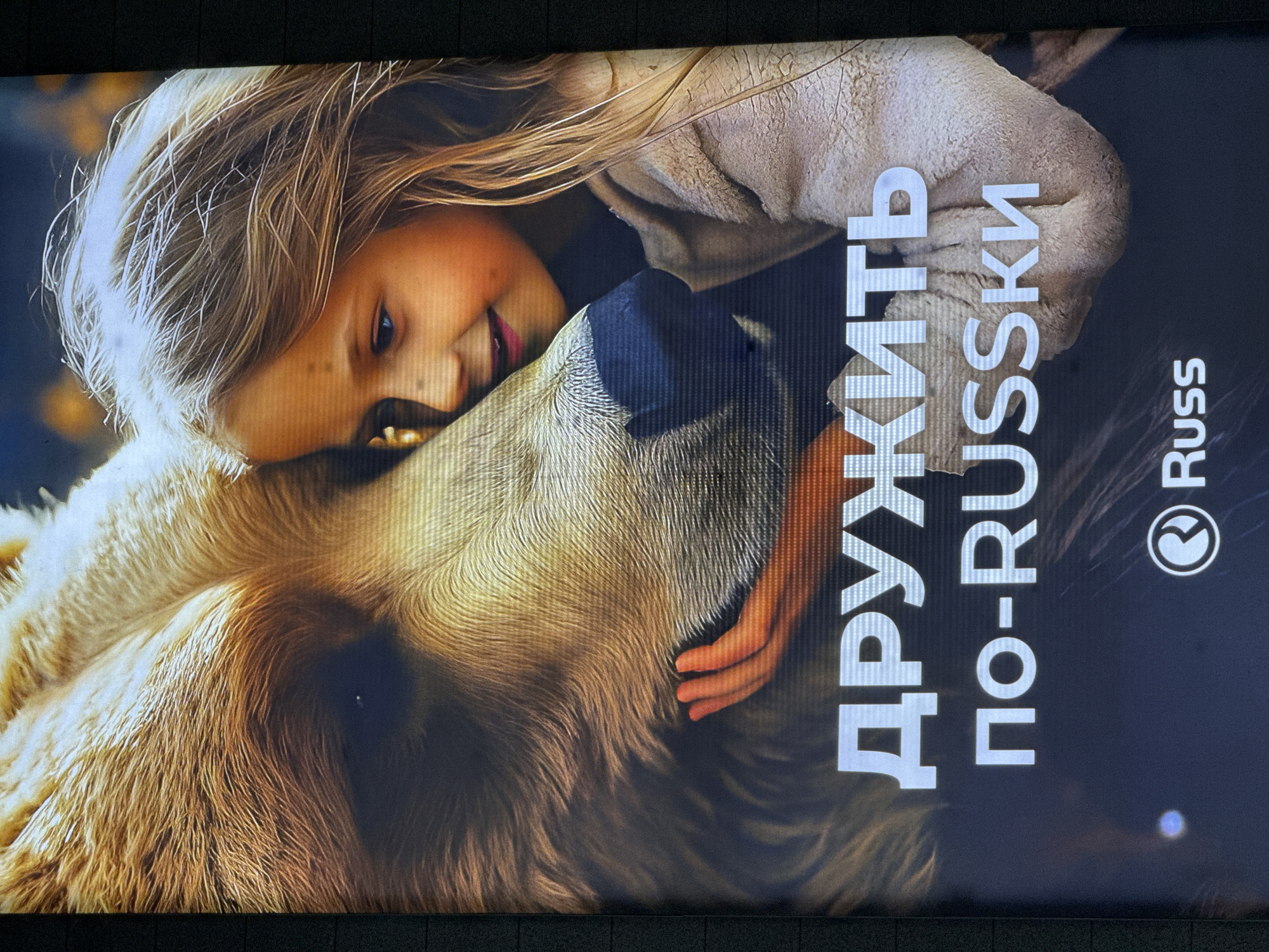 The image is an advertisement featuring a young girl with blonde hair embracing a brown bear. The girl is smiling and looking towards the bear, with her hand resting on its snout. The bear's fur is detailed and realistic. Below the image of the girl and bear, there is text that reads "ДРУЖИТЬ ПО-RUSSKI". At the bottom of the image, the logo "Russ" is visible. The background is dark and out of focus. The advertisement appears to be displayed on a screen or billboard. The location is specified as the city of Vnukovo, Russia.