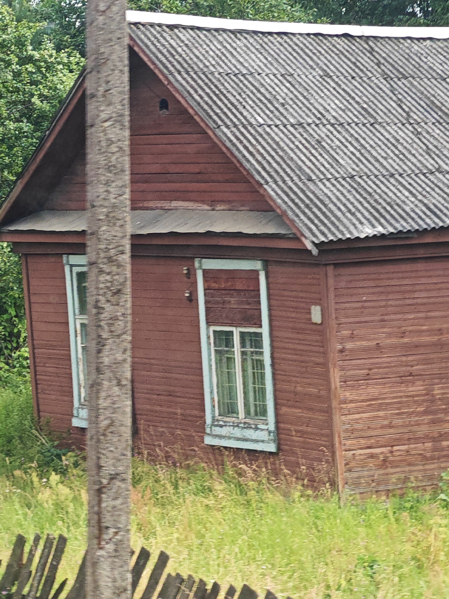A medium shot captures a weathered, two-story wooden house with a corrugated metal roof. The house is painted a reddish-brown, with light blue trim around the windows. Two windows are visible on the front facade, each with multiple panes. A rough-textured, vertical tree trunk partially obscures the left side of the house. Tall, green grass and some wildflowers surround the base of the house, and a dilapidated wooden fence runs along the bottom of the frame. The background consists of lush green trees. The scene appears to be located in the village of Выползово, Russia.
