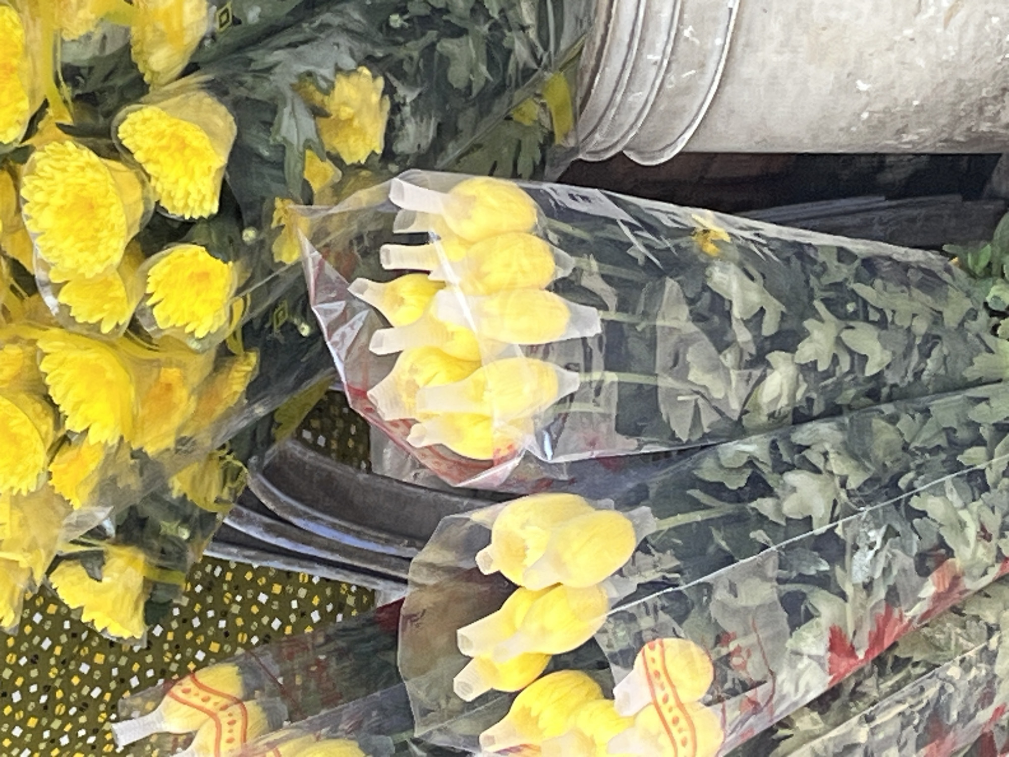 This image depicts a close-up view of bouquets of yellow flowers displayed for sale. The flowers are wrapped in clear plastic and arranged in bunches. In the background, a patterned cloth and a stack of white buckets are visible, suggesting a market or flower stall setting. The lighting suggests an outdoor or well-lit indoor environment. Based on the context provided by the user, this scene is located in Nha Trang Ward, Vietnam.