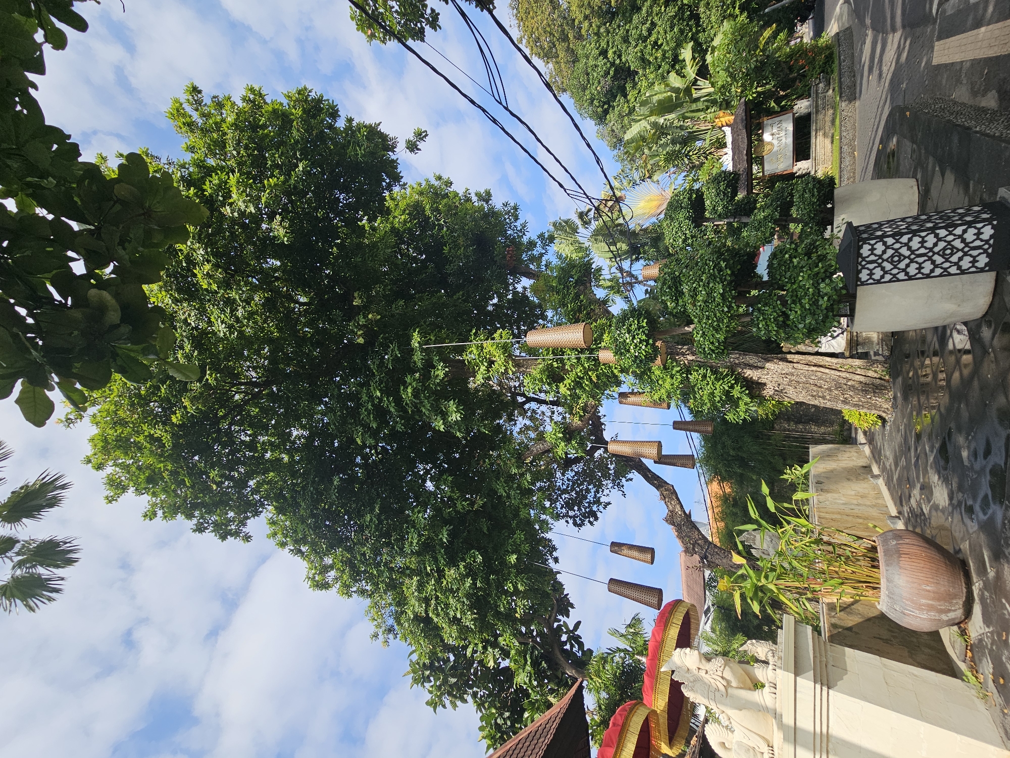 The image depicts a street in Denpasar, Indonesia, with a large tree covered in hanging cylindrical lanterns dominating the view. The sky is visible through the tree's branches, with scattered white clouds. Overhead power lines run through the scene. The street has decorative elements, including a black and white patterned planter, a large terracotta pot with plants, and structures with red and gold accents, possibly part of a building's architecture. The scene appears to be taken at street level, looking upwards towards the tree and sky. The environment suggests a tropical or subtropical location, as indicated by the lush greenery and clear sky.