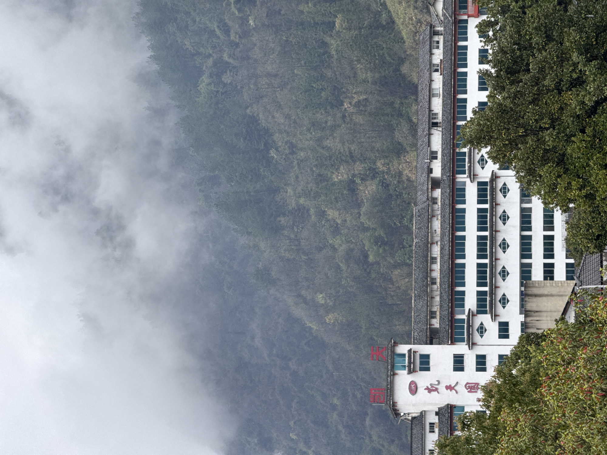 A multi-story white building, identified by red Chinese characters reading "航天园" (Hángtiānyuán) vertically on its central tower section and "航天" horizontally at the top, stands in Wulingyuan, China. The building features dark gray tiled roofs with red trim, numerous rectangular windows with dark frames, and distinctive diamond-shaped windows on the lower visible levels of its extended wing. Foreground trees with green foliage partially obscure the lower portions of the building. Behind the structure, a large mountain rises, densely covered in a mix of evergreen and deciduous trees. The upper and mid-sections of the mountain are significantly obscured by dense, white-gray fog or low-hanging clouds, which fill the sky. The scene is under diffused natural light, consistent with an overcast or foggy day. No individuals or discernible actions are present.