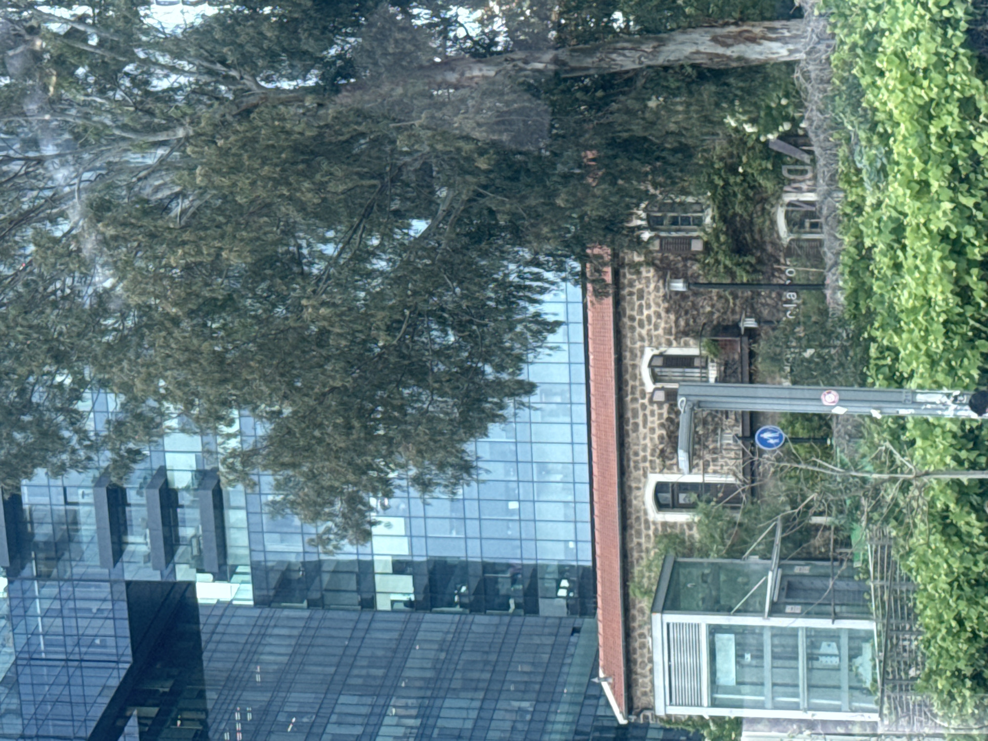 The image shows a view of Tel Aviv, Israel. A modern high-rise building with a glass facade stands alongside a traditional stone building with a red tile roof. A tree with dense foliage partially obscures both buildings. A street sign is visible in the foreground. Lush green foliage covers a portion of the right side of the image.