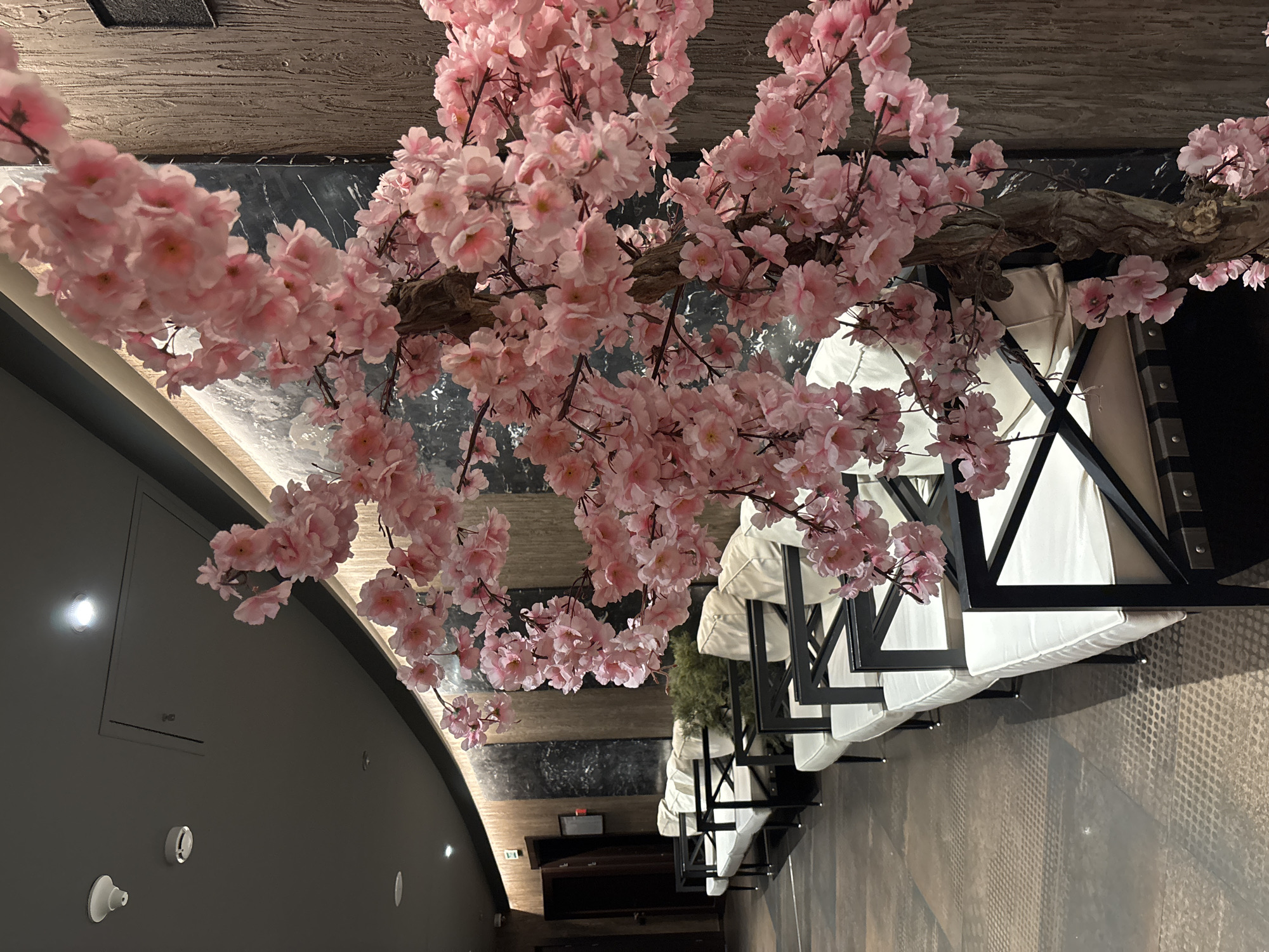 The image depicts an interior space, seemingly a restaurant or lounge, with a prominent artificial cherry blossom branch arrangement suspended overhead. The blossoms are pink and profusely cover the branch. Underneath the branch, several cushioned seats with black frames are arranged along a wall. The seats are white. The flooring and walls have a textured, neutral-toned appearance. The view extends into the distance, revealing a dark wooden structure that could be a cabinet or console. The photograph's composition focuses on the floral display and the seating area. It is uncertain from the image alone that the location is in Minsk, Belarus.