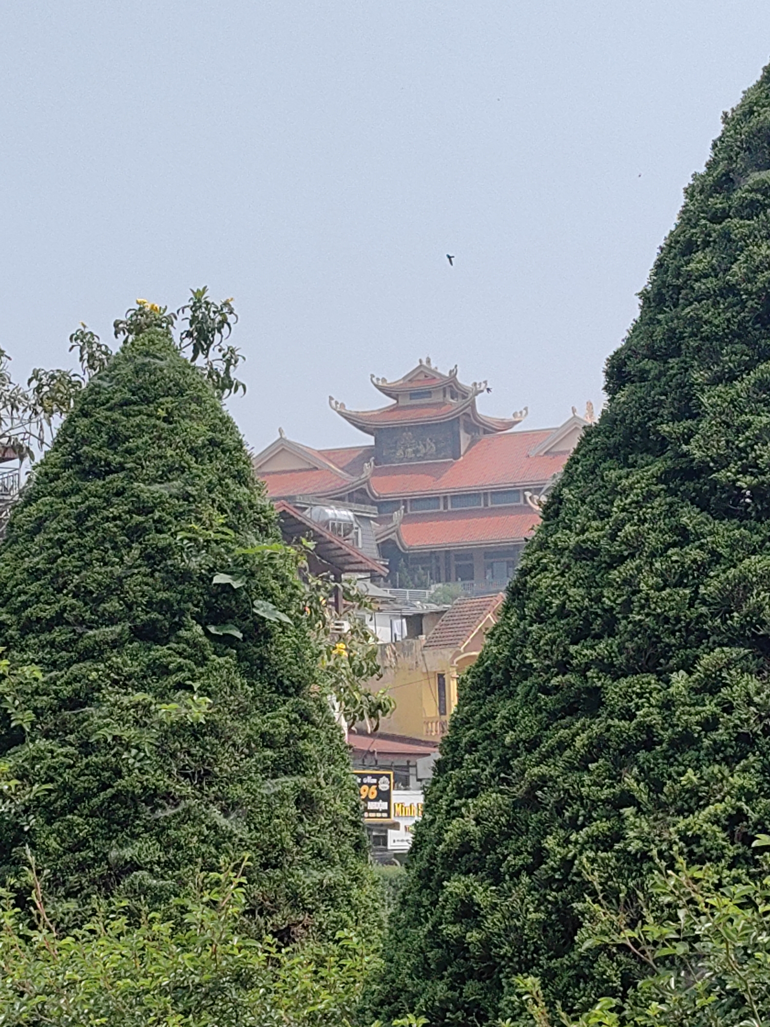 The image depicts a view within the city of Sa Pa, Vietnam, prominently featuring the multi-tiered Sun World Fansipan Legend Pagoda Complex. The foreground is dominated by two large, conical dark green trees, framing the central architectural subject. Smaller green foliage and some yellow flowers are also visible among the trees. Fine white strands, consistent with spiderwebs, adhere to the foliage of the left foreground tree. Through the framed opening, the pagoda complex displays traditional Vietnamese architecture with distinct red-tiled, multi-level upturned roofs and ornate decorative elements on its upper tiers. Below the main pagoda structure, other buildings with red roofs and light-colored walls, including a distinct yellow building, are partially visible. A commercial sign featuring the number "96" and the Vietnamese word "Minh" is partially obscured by foliage on the lower right. The sky above is uniformly overcast and light grey. A single dark, bird-like silhouette is airborne in the upper-middle sky, with an additional smaller dark speck visible further to its right.