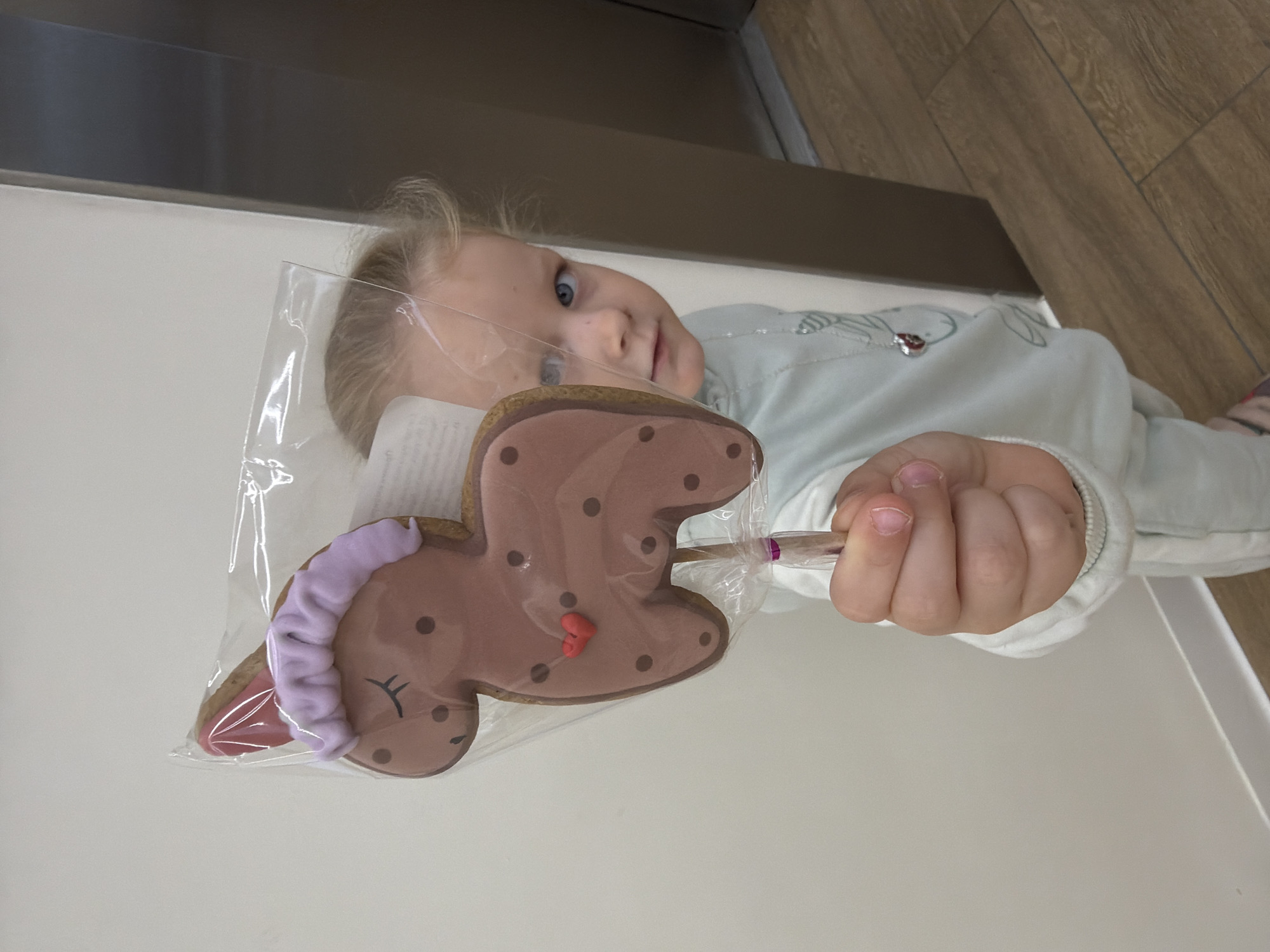 The image shows a young child with blonde hair and blue eyes, lying down and looking at the camera. The child is holding a cookie on a stick, which is shaped like a brown horse with purple icing for a mane and a red heart on its body. The cookie is in a clear plastic wrapper. The child is wearing a light blue shirt with a subtle striped pattern. The background consists of a white surface and a wooden floor with diagonal planks. A dark gray, metallic surface is visible in the upper part of the image. The lighting suggests an indoor setting, possibly during the daytime. The child's expression is neutral. There is no visible text in the image. The scene appears to be in Khimki, Russia.