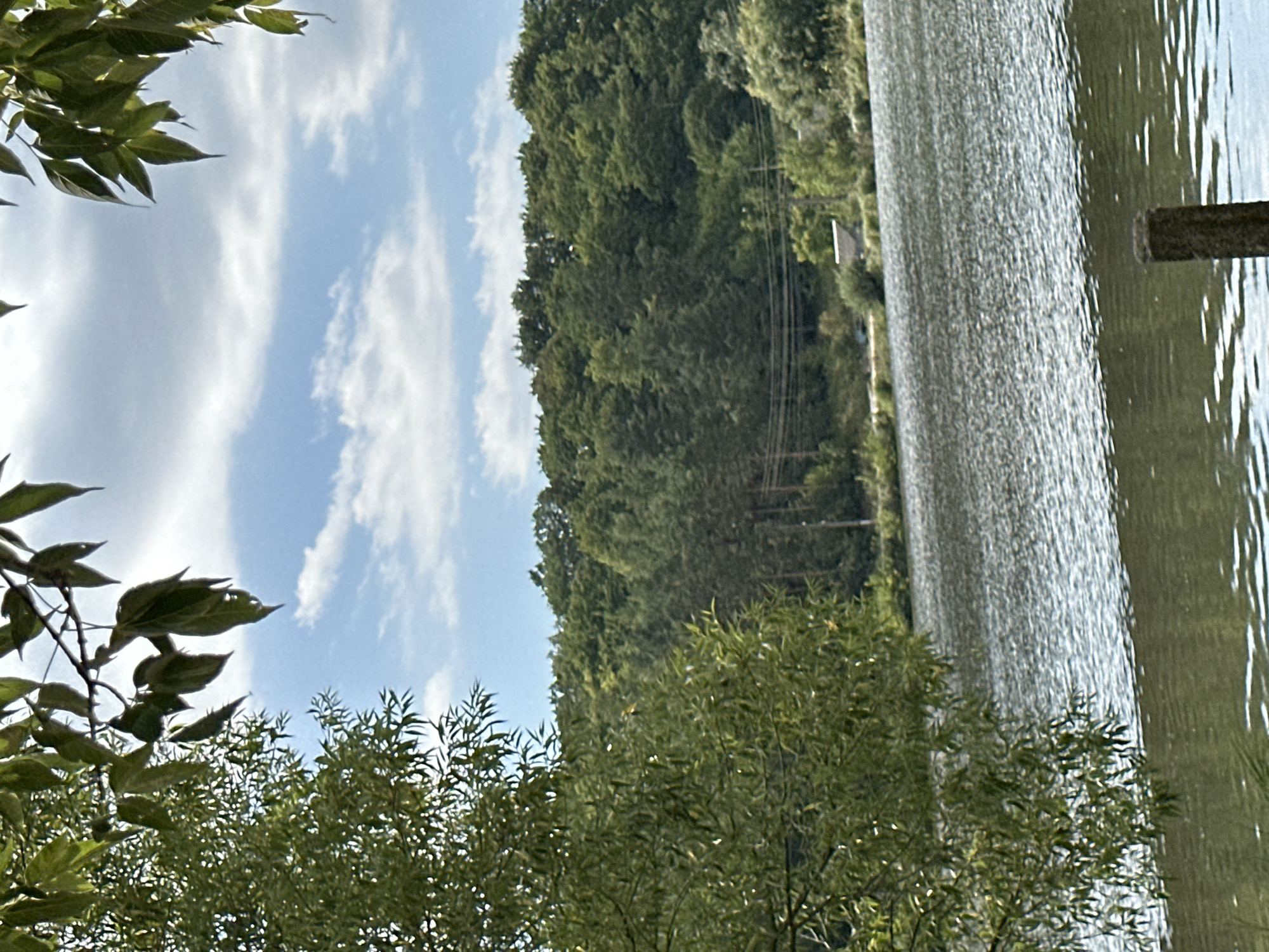 The image depicts a serene natural landscape with a body of water in the foreground and a densely forested hillside in the background. A large tree with green foliage frames the left side of the scene, with its branches reaching towards the upper left corner. The water's surface is rippled, reflecting the light and creating a shimmering effect. A small, dark, cylindrical object, possibly a wooden post or a bollard, is partially visible in the lower right corner of the frame. The hillside is covered in a variety of trees, with power lines strung across its midsection. A small, light-colored structure with a dark roof is visible amidst the trees on the hillside. The sky above is a clear blue with scattered white clouds. The scene is characteristic of the natural beauty found in and around the city of Makiv, Ukraine, a region known for its picturesque landscapes and tranquil environments, likely a lakeside or riverside setting.