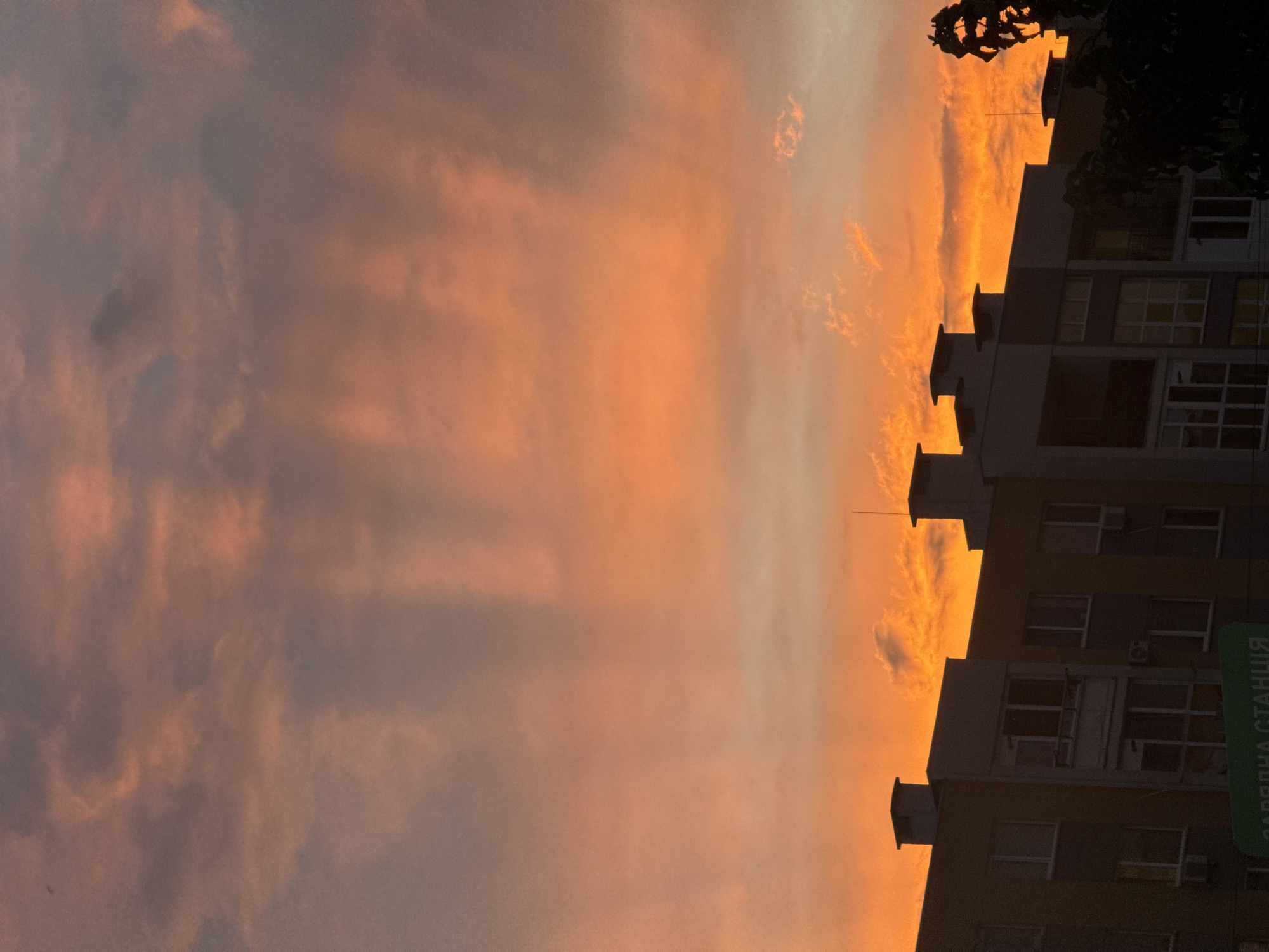 The image depicts a dramatic sunset over the city of Avanhard, Ukraine. The sky is ablaze with vibrant hues of orange, pink, and red, with streaks of darker gray clouds creating a striking contrast. The light beams from the sunset are visible, piercing through the clouds. In the foreground, the silhouettes of several modern apartment buildings are visible against the colorful sky. These buildings feature multiple stories with numerous windows and what appear to be rooftop ventilation systems or decorative elements. A dark, leafy tree branch is visible in the lower right corner, partially obscuring the sky. The overall scene is serene yet awe-inspiring, capturing the beauty of nature's spectacle above an urban landscape.