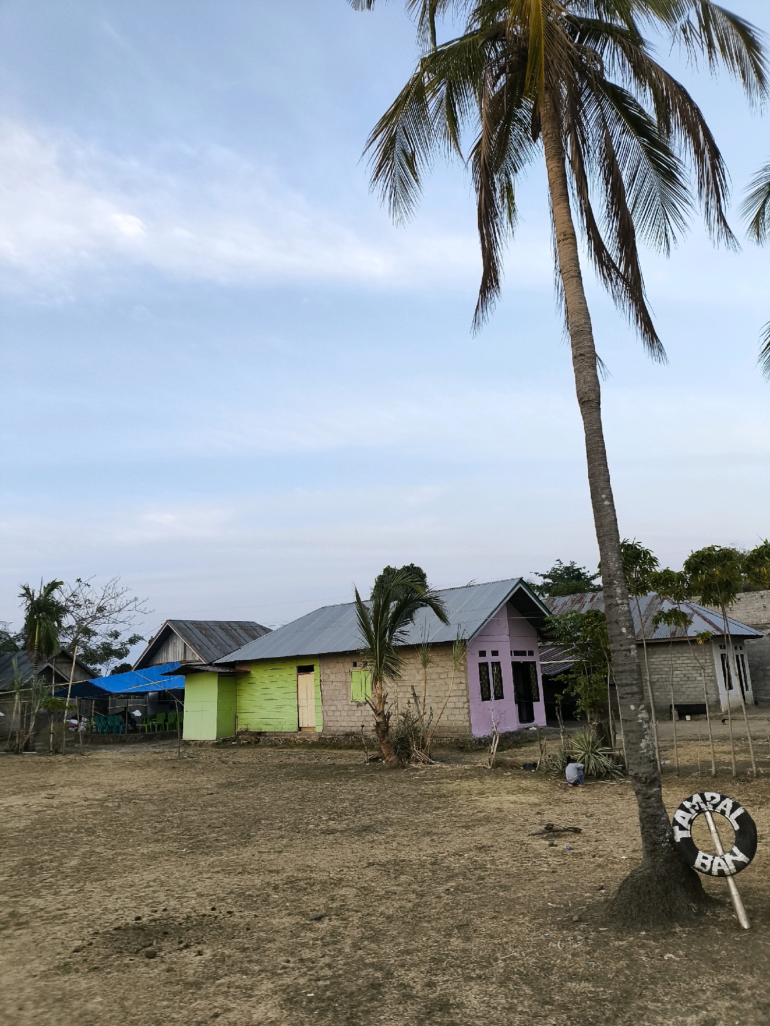 This is a medium shot, eye-level photograph captured outdoors in an area that appears to be a rural village in Indonesia. The sky is mostly clear with a few wispy clouds, and the lighting suggests it is either early morning or late afternoon.
In the foreground, there is a barren, dusty ground with some scattered debris and patches of dry vegetation. A tall, mature palm tree dominates the right side of the frame, its trunk rough and textured, with long, drooping fronds. Attached to the base of this palm tree is a circular life preserver with the word "TAMPAL" written on it in white letters against a black background.
Behind the palm tree, a row of small, simple houses is visible. The house closest to the foreground on the right is constructed of concrete blocks and has a metal roof. To its left is a house painted a bright lime green, with a wooden door and green shutters. Further to the left, a house is painted a light purple and has windows with dark frames. Adjacent to the purple house and extending behind the green house, a blue tarp is set up over what appears to be an outdoor gathering area with several green plastic chairs visible. More houses and structures, some with corrugated metal roofs, can be seen in the background.
A single person, wearing a grey shirt and dark pants, is sitting on the ground in the middle ground, near the purple house, facing away from the camera. A few small trees and vegetation are scattered throughout the scene. The overall impression is of a quiet, perhaps slightly impoverished, village setting.