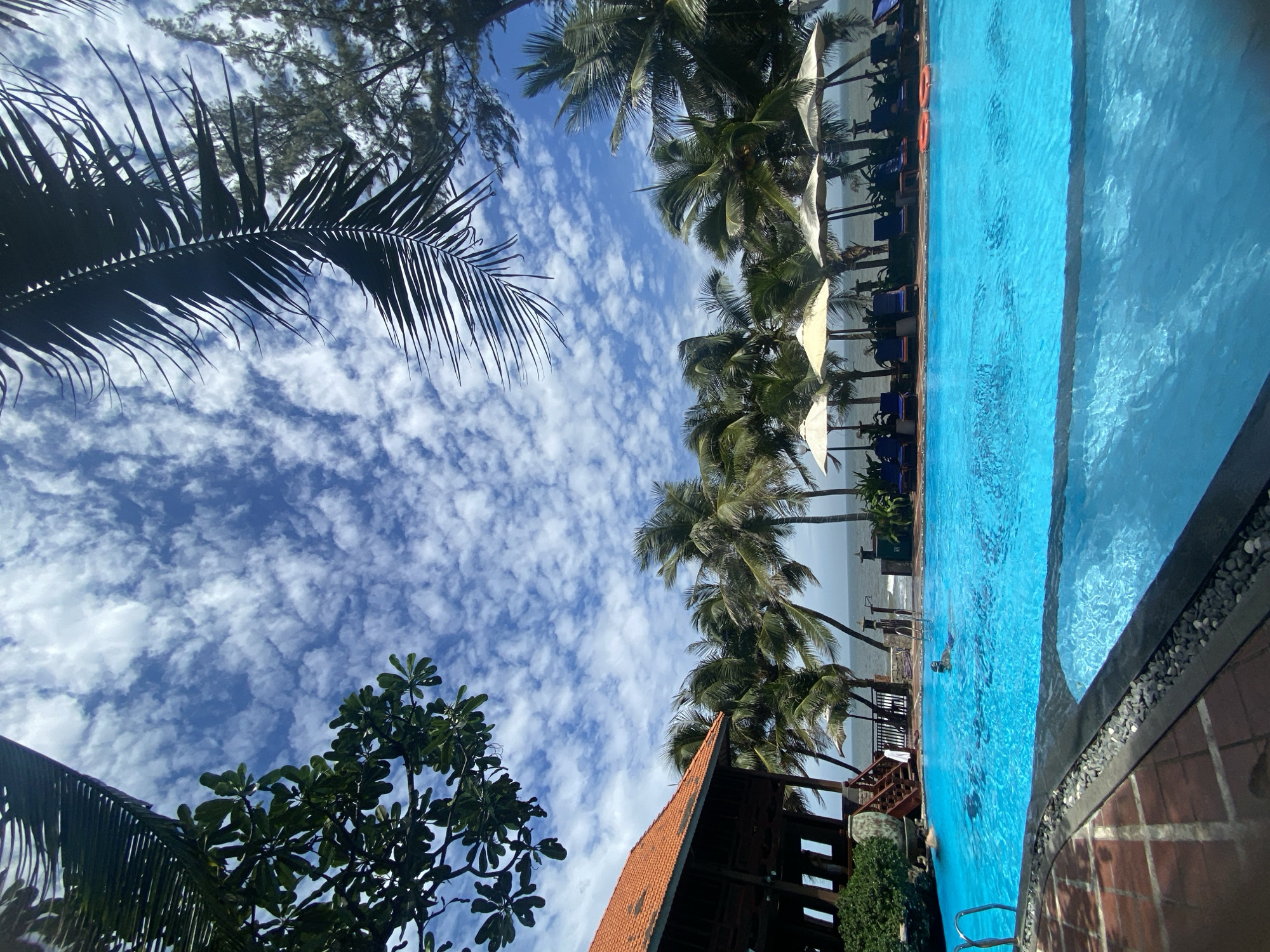 This is an eye-level, wide-angle, vertical shot of a resort swimming pool area in Mũi Né, Vietnam. The pool itself is a vibrant turquoise blue and fills the foreground. Two people are visible in the pool: one is swimming further away, and another is closer to the edge, appearing to be moving through the water. Beyond the pool, palm trees with their fronds are prominent against a bright blue sky dotted with white, fluffy clouds. Beach umbrellas and lounge chairs are arranged near the waterline, and the ocean is visible in the background. To the left, a building with an orange-tiled roof and wooden construction is partially visible, suggesting it is part of the resort. The overall atmosphere is one of a sunny, tropical vacation destination.