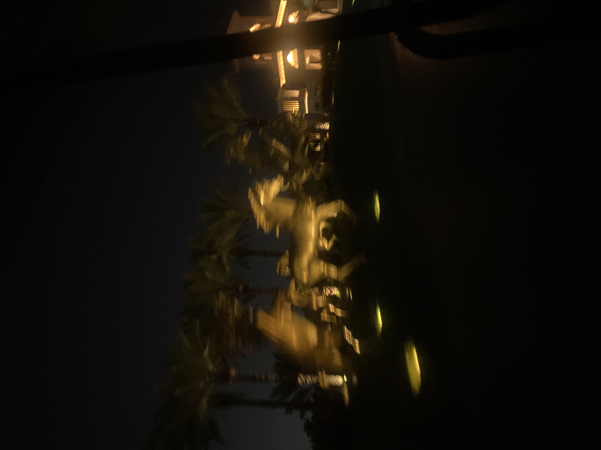 The image, taken at night, depicts palm trees and a building with lights. The setting is likely Dubai, United Arab Emirates, given the presence of palm trees and the style of architecture. The image appears to be taken from a moving vehicle, indicated by the blur. The predominant colors are black, dark blue, and golden yellow.