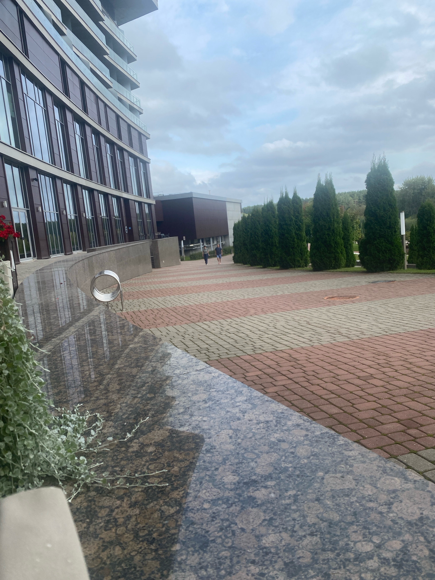 The image shows an exterior scene with a modern building featuring large windows and balconies on the left. In front of the building is a curved granite wall and a paved area with red and grey interlocking bricks. A line of tall, conical evergreen trees runs along the right side of the paved area, separating it from a grassy slope with more trees in the background. The sky is cloudy. Two people are walking away from the building on the paved area. A silver, circular object, possibly a bike rack, is visible on the curved wall. A plant with small, silvery-green leaves is in the foreground on the left. The scene appears to be in a contemporary urban or suburban setting.