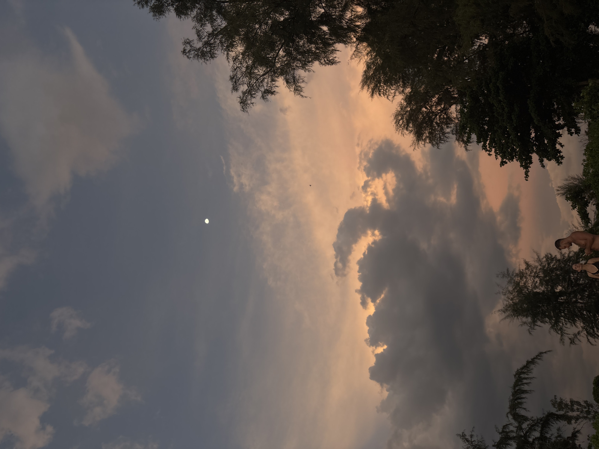 The image captures a vertically oriented twilight sky, displaying a dramatic gradient of colors over Choeng Thale, Thailand. The upper-right portion of the sky glows with soft orange and pink hues, suggesting either sunset or sunrise, while the lower-left transitions into a cooler blue-grey. Various clouds are scattered throughout; dark, textured formations dominate the central-right, catching the warm light, while lighter, more diffuse clouds are visible on the left. A bright, distinct white moon is positioned in the lower-left quadrant against the cooler sky.
Dark silhouettes of tree branches and foliage frame the sky from the top and bottom of the frame, indicating a dense treeline. On the upper-right side, partially obscured by these trees, two individuals are visible from the waist up. One appears to be a shirtless man, and the other a woman wearing a dark top, possibly swimwear. They stand against the warm light, their forms also in silhouette, appearing to observe the sky. A tiny dark speck, likely a bird or insect, is seen flying in the brighter, upper-middle sky. There is no visible text.