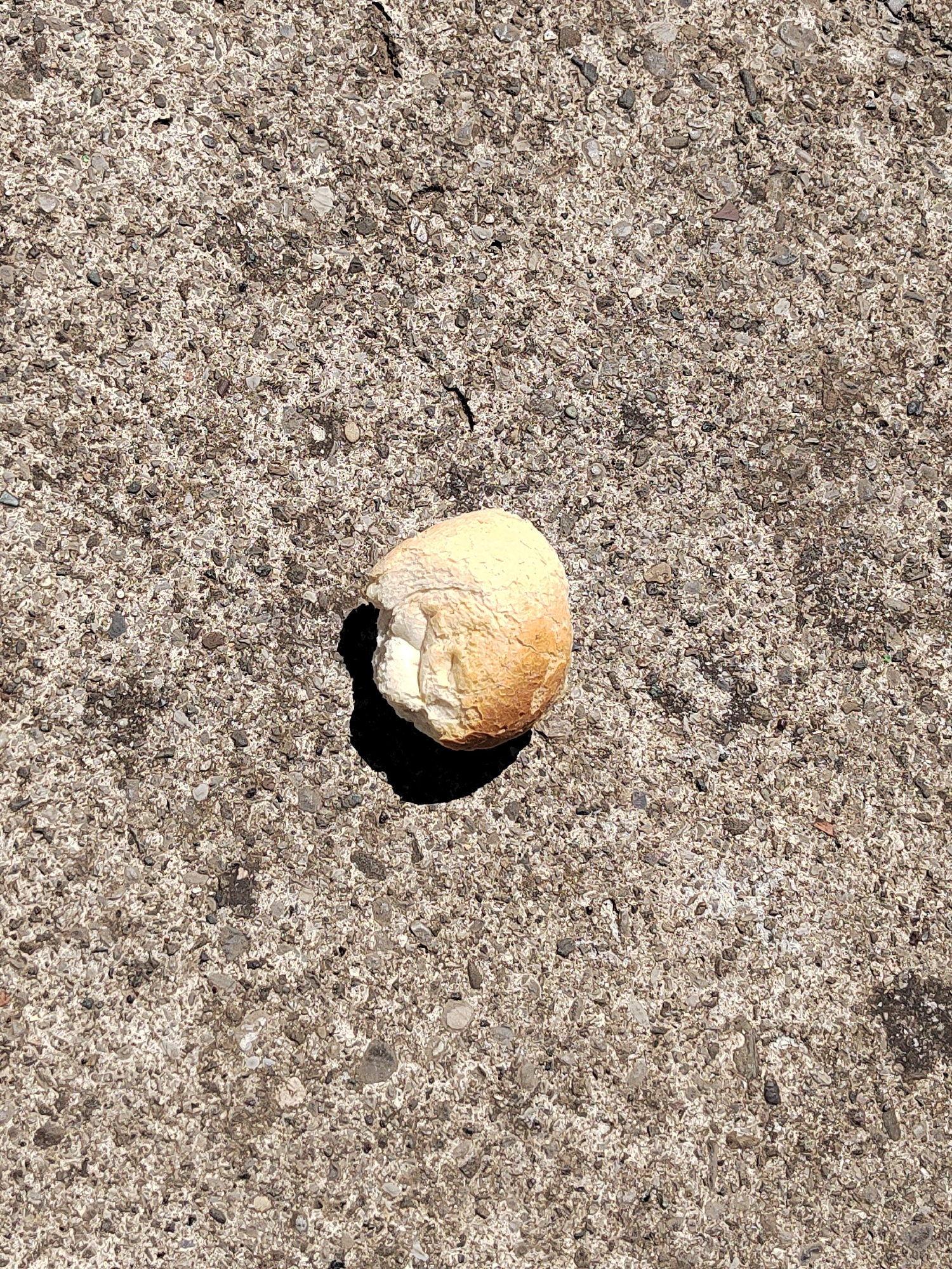 A discarded bread roll rests on a concrete surface. The bread is partially eaten, revealing the soft interior. The concrete texture consists of embedded stones and pebbles. The location is likely outdoors. There is no evidence to suggest a specific location in Podgorica, Montenegro. No people are visible.