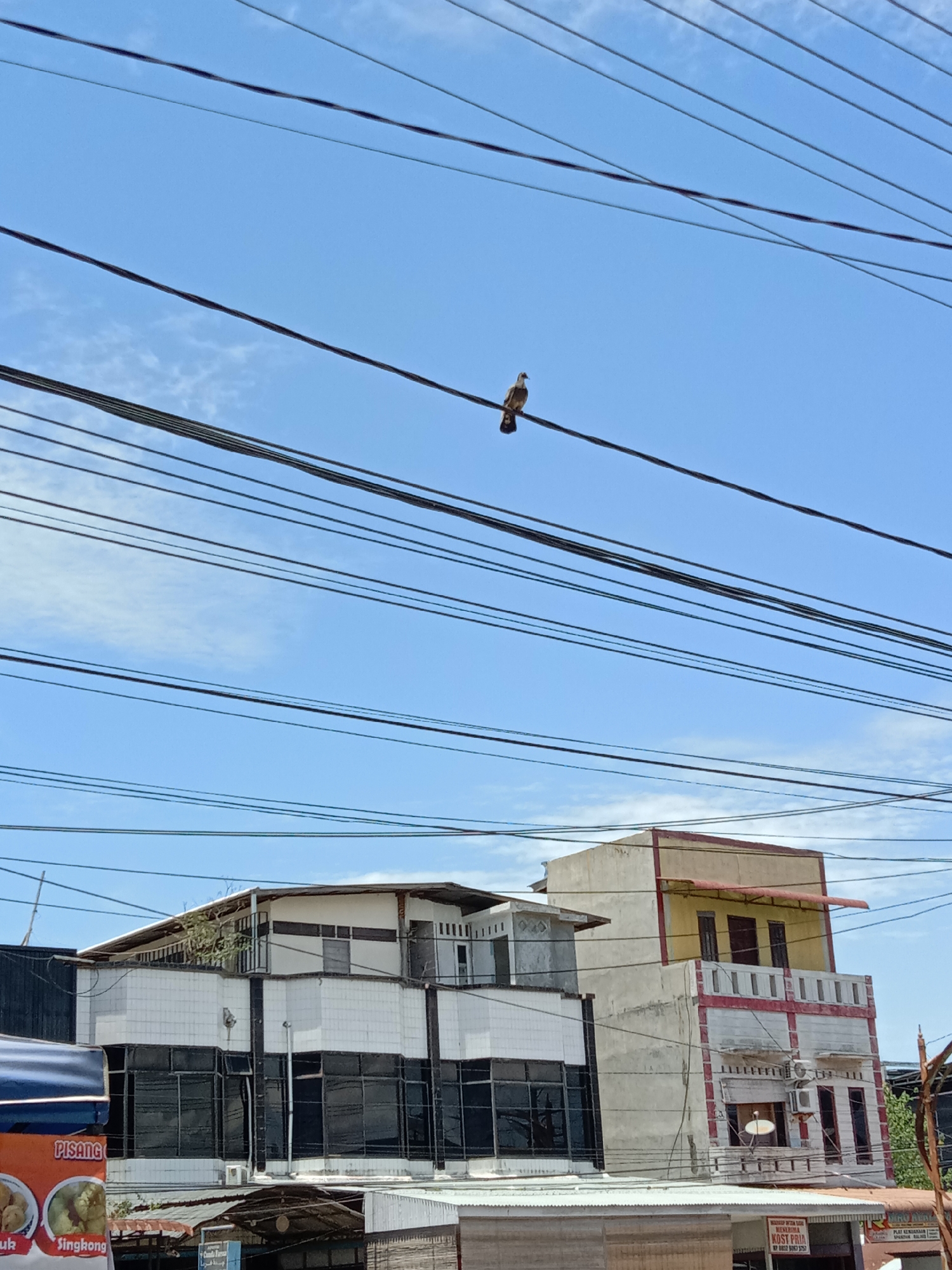 The image is taken in Lhokseumawe, Indonesia, as evidenced by visible signage. A bird sits on a power line against a bright blue sky with sparse clouds. Below, two multistory buildings are visible. The first building is white with dark windows and a flat roof. The second building is a pale yellow and white with red trim, featuring an enclosed balcony and satellite dish. In the foreground, signage for food vendors is visible, partially obscured by awnings. Overhead, a network of power lines crisscrosses the scene. No people are visible in the photograph.