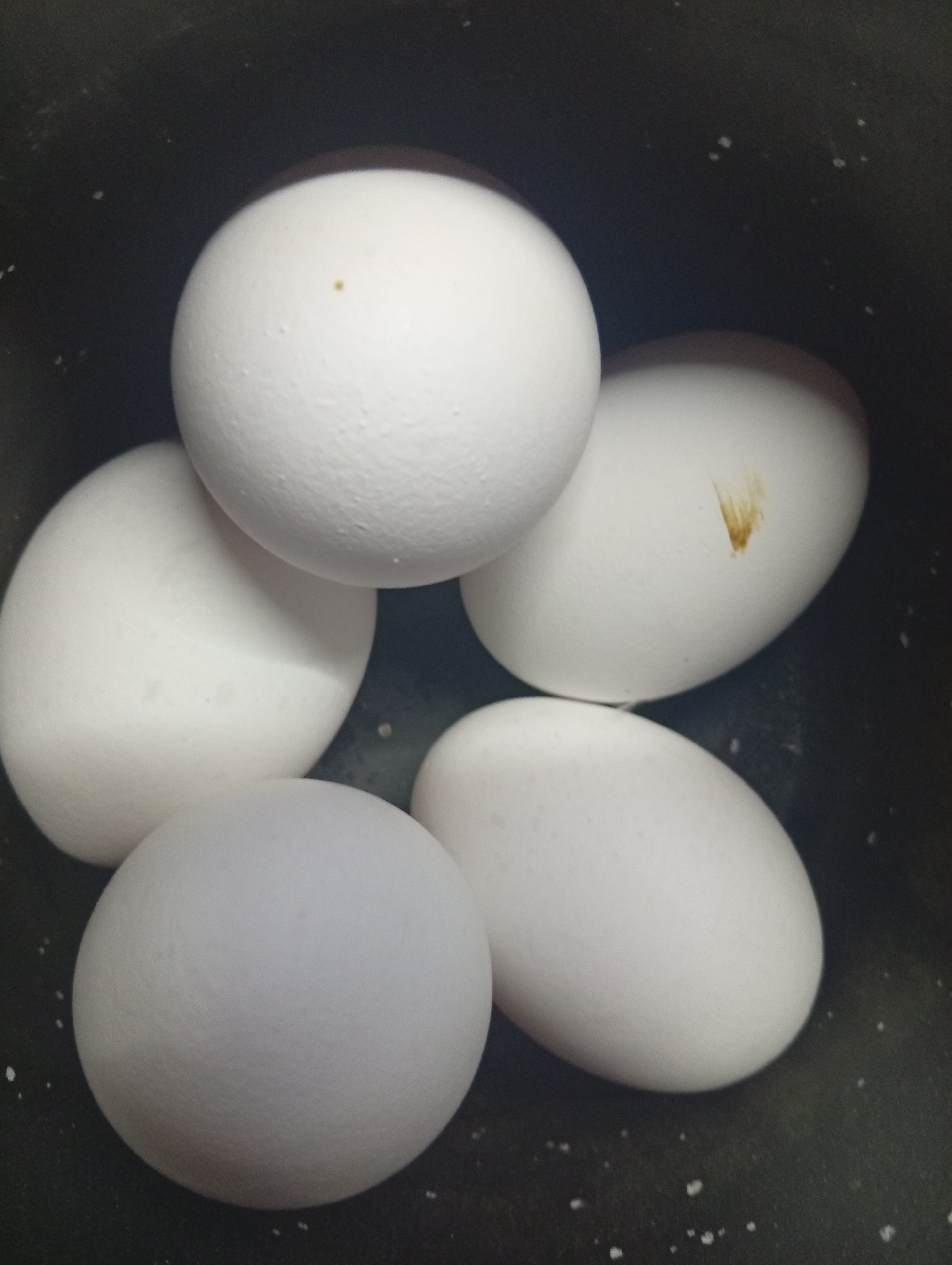 A close-up shot reveals five white chicken eggs nestled together in a dark bowl. One egg has a small brown spot, and another has a streak of brown discoloration. The speckled interior of the bowl is visible. The location of the image is not discernable.