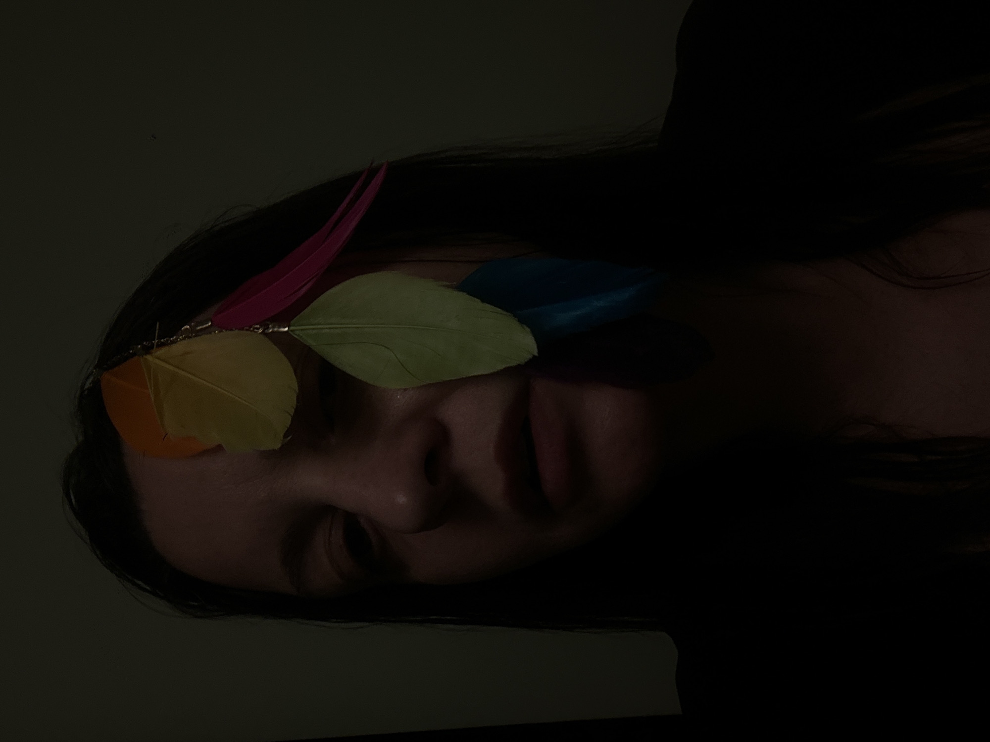 The media file presents a dimly lit, horizontal portrait of an individual, likely female, located in Riga, Latvia. The person's head is tilted, with a portion of her face and dark hair visible against an almost entirely black background.
**Subjects:** The main subject is the person, whose face is partially illuminated from the left, highlighting her nose, lips, and part of her right cheek. Her eyes are largely obscured by shadow. Long, dark hair frames her face and blends into the deep shadows of the background.
**Objects:** Adorning her forehead/hairline is a decorative accessory, possibly a headband or hairpiece, composed of several colorful feathers. These feathers appear to be connected by small metallic rings or chains. Visible feather colors include a vibrant pink, an orange, a light green, and a blue one, arranged sequentially across her brow.
**Scene/Setting:** The scene is set in an extremely dark environment, suggesting either a very low-light indoor setting or nighttime. The background is predominantly black, offering no specific environmental cues beyond the immediate vicinity of the person.
**Activity or event:** The individual appears to be lying down or resting, possibly posing for the photograph. There is no discernible specific activity taking place.
**Notable details:** The defining characteristic of the image is its dramatic, low-key lighting. Light source from the left casts significant shadows, creating strong contrasts and a mysterious, intimate mood. The colorful feathers stand out vividly against the dark hair and shadowed face, providing the only bright hues in an otherwise somber palette. The person's expression appears calm and neutral. No visible text is present in the image.