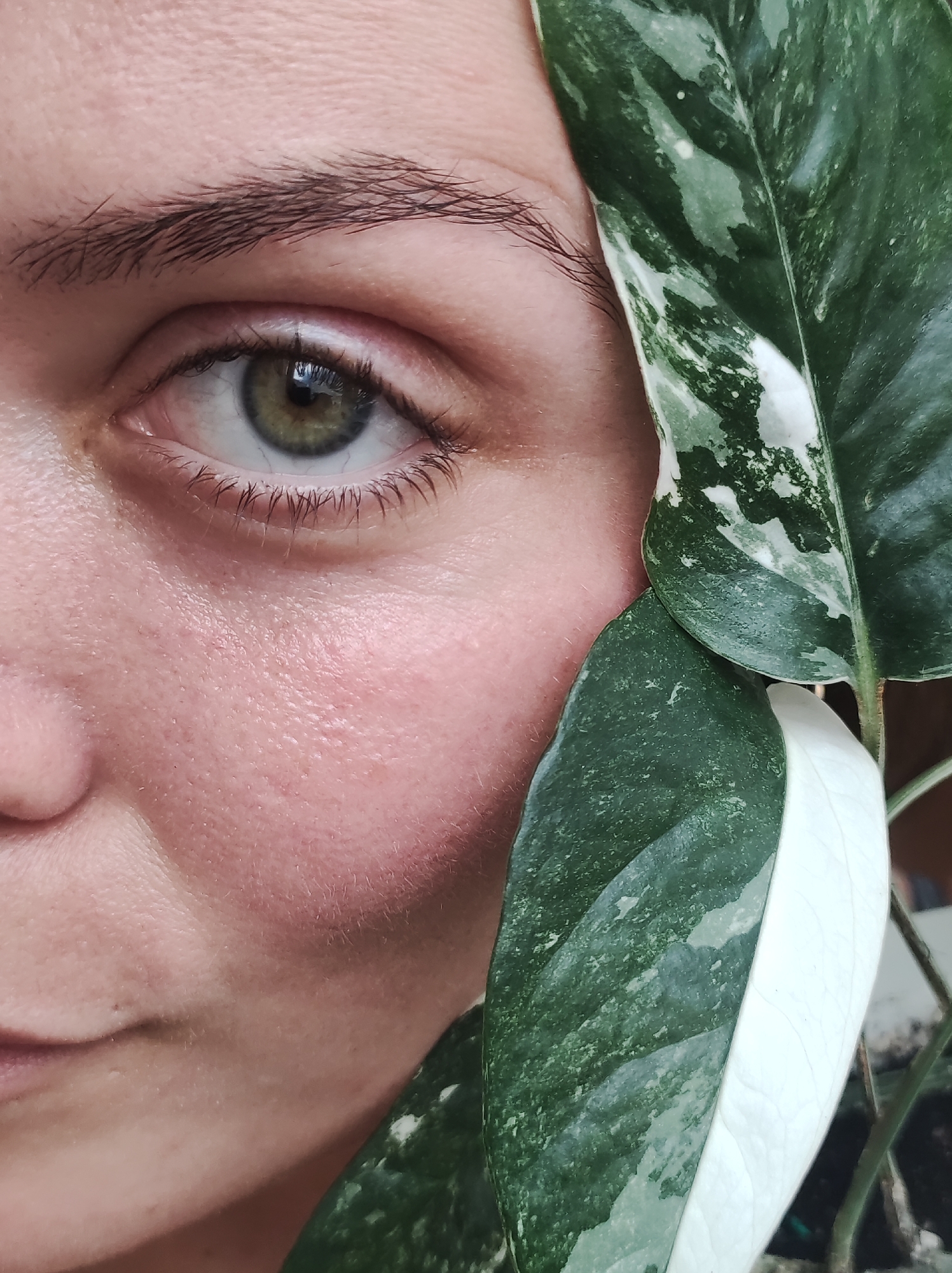 A close-up, high-angle, eye-level shot focuses on a person's left eye and cheek, partially obscured by a variegated green and white leaf. The person has light skin with visible pores and some pinkness on the cheek. Their left eyebrow is dark brown and slightly arched. The iris of the eye is a greenish-brown, and the pupil is dark. Eyelashes are visible along the upper and lower eyelids. The leaf is large with distinct green and white marbled patterns, and its stem is visible. The background is blurred and appears to be dark. The image does not provide any information about the location in the city of Chaikovsky, Russia.