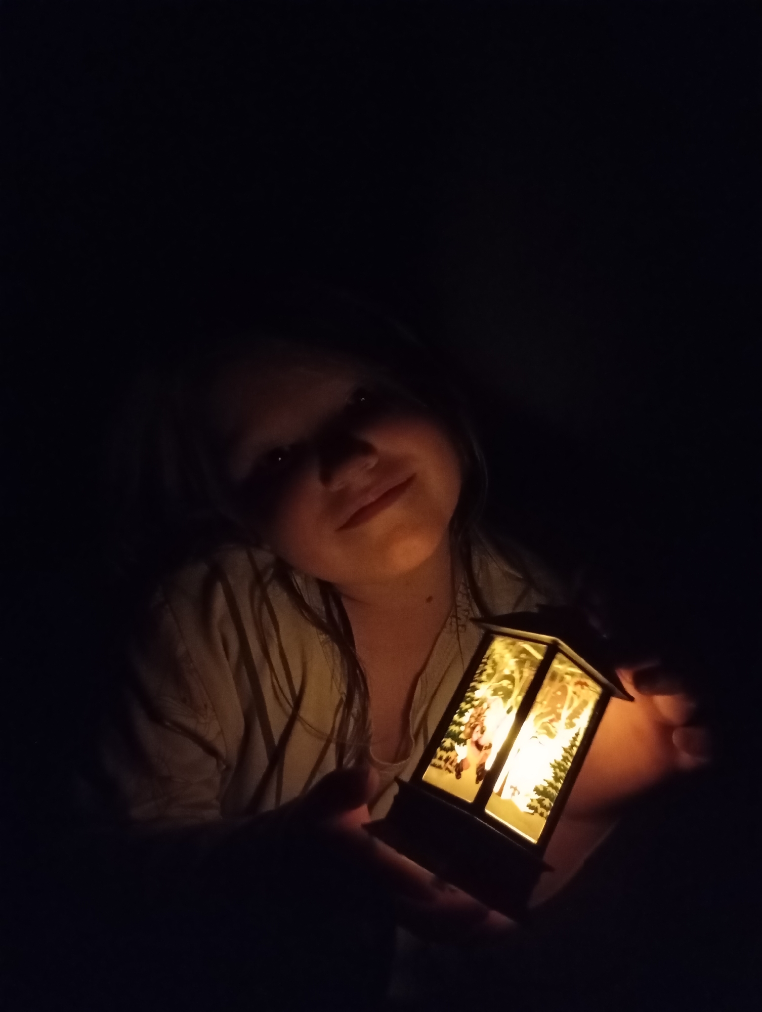 A young person is holding a lit, decorative lantern in a darkened environment. The lantern is rectangular, and illuminates both the subject's face and the immediate area around it, revealing the subject's hands as well as part of what appears to be their shirt. The lantern contains images of reindeer and trees. The location is unknown.