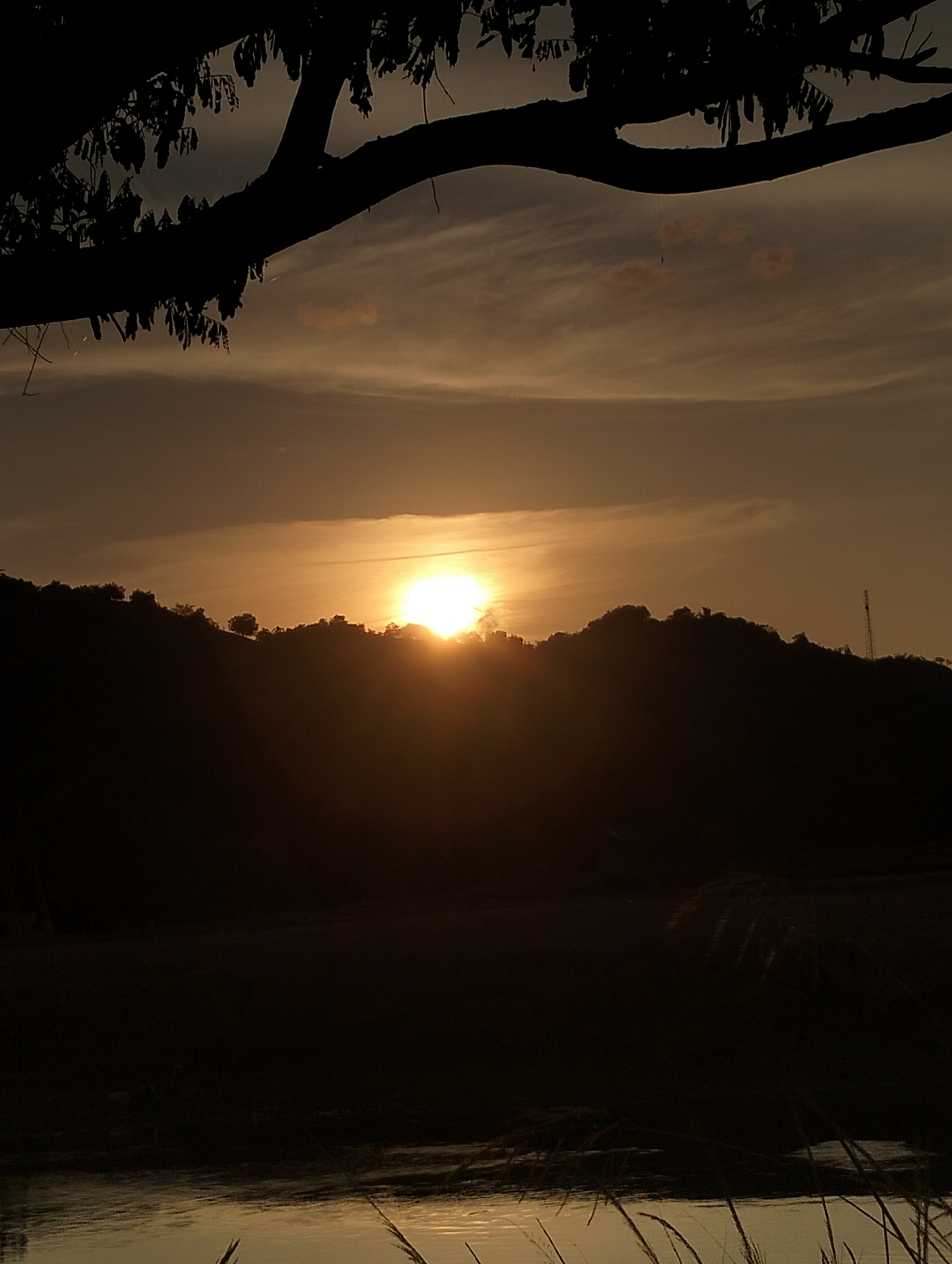 The image presents a serene landscape at either sunrise or sunset in Lhokseumawe, Indonesia, characterized by rich silhouettes and warm, glowing light. A bright, golden sun is the focal point, positioned low on the horizon, partially obscured by a range of rolling hills or mountains that are rendered in dark silhouette. The intense light of the sun casts a vibrant orange and yellow hue across the sky immediately surrounding it, fading into softer grays and browns with scattered, wispy clouds higher up.
In the upper part of the frame, a substantial tree branch with dense foliage extends across, creating a dark, natural arch that frames the expansive sky. The branch and its leaves are presented in stark silhouette against the lighter background.
The foreground features a calm body of water, possibly a river or lake, which reflects the warm glow of the sky. Ripples are visible on its surface, catching the light. Along the bottom edge of the image, tall grasses or reeds are also silhouetted, adding texture to the immediate foreground. On the distant hills, particularly towards the right, a communication tower can be faintly discerned, standing as a subtle man-made presence within the natural scenery. The overall atmosphere is peaceful and contemplative, capturing a moment of natural beauty at the transition of day. No visible text is present in the image.