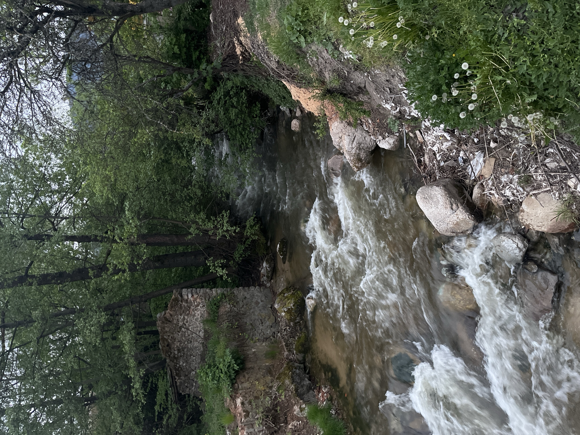 A stream of flowing water runs through a landscape with vegetation. The left side of the stream is bordered by trees, and a stone structure is visible near the edge. On the opposite side, there is more vegetation and some visible rocks. The scene's location is Unknown, Unknown.